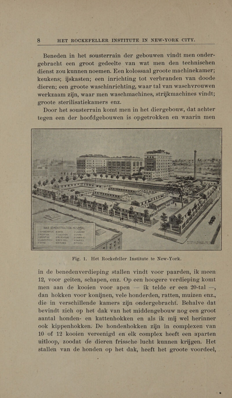 des ie  Beneden in het sousterrain der gebouwen vindt men onder- gebracht een groot gedeelte van wat men den technischen dienst zou kunnen noemen. Een kolossaal groote machinekamer; keukens; ijskasten; een inrichting tot verbranden van doode dieren; een groote waschinrichting, waar tal van waschvrouwen werkzaam zijn, waar men waschmachines, strijkmachines vindt; groote sterilisatiekamers enz. | Door het sousterrain komt men in het diergebouw, dat achter tegen een der hoofdgebouwen is opgetrokken en waarin men WAR DEMONSTRATION + OSE LALMUMISTRETION ede LAINDRY zn MRITEMER B MAS ended  Fig. 1. Het Rockefeller Institute te New-York. in de benedenverdieping stallen vindt voor paarden, ik meen 12, voor geiten, schapen, enz. Op een hoogere verdieping komt men aan de kooien voor apen — ik telde er een 20-tal —, dan hokken voor konijnen, vele honderden, ratten, muizen enz, die in verschillende kamers zijn ondergebracht. Behalve dat bevindt zieh op het dak van het middengebouw nog een groot aantal honden- en kattenhokken en als ik mij wel herinner ook kippenhokken. De hondenhokken zijn in complexen van 10 of 12 kooien vereenigd en elk complex heeft een aparten uitloop, zoodat de dieren frissche lucht kunnen krijgen. Het stallen van de honden op het dak, heeft het groote voordeel,
