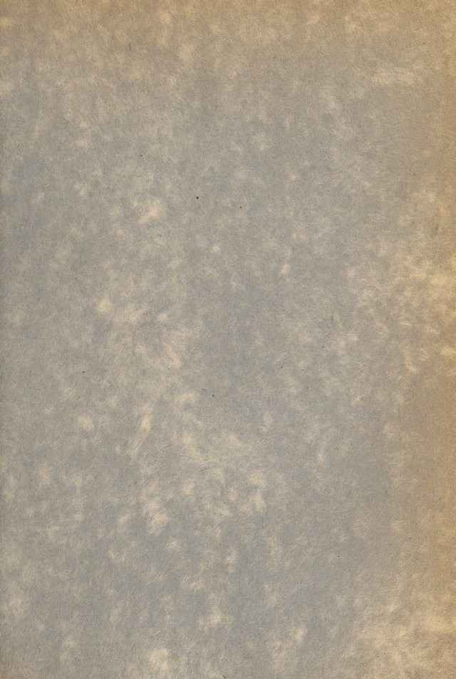 digitised image 3