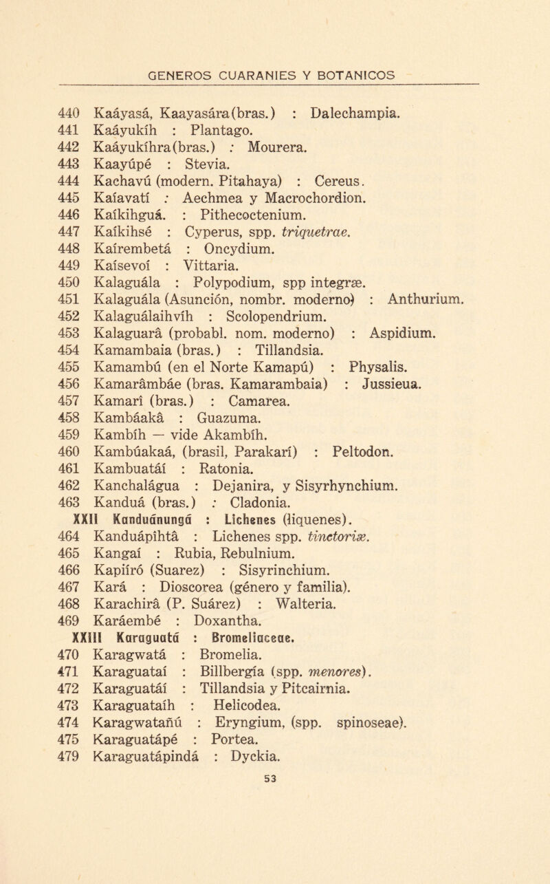 440 Kaáyasá, Kaayasára(bras.) : Da le champí a. 441 Kaáyukíh : Plantago. 442 Kaáyukíhra(bras.) : Mourera. 443 Kaayúpé : Stevia. 444 Kachavú (modern. Pitahaya) : Cereus. 445 Kaíavatí : Aechmea y Macrochordion. 446 Kaíkihguá. : Pithecoctenium. 447 Kaíkihsé : Cyperus, spp. triquetrae. 448 Kaírembetá : Oncydium. 449 Kaísevoí : Vittaria. 450 Kalaguála : Polypodium, spp integras. 451 Kalaguála (Asunción, nombr. moderno) : Anthurium, 452 Kalaguálaihvíh : Scolopendrium. 453 Kalaguará (probabl. nom. moderno) : Aspidium. 454 Kamambaia (bras.) : Tillandsia. 455 Kamambú (en el Norte Kamapú) : Physalis. 456 Kamarámbáe (bras. Kamarambaia) : Jussieua. 457 Kamari (bras.) : Camarea. 458 Kambáaká : Guazuma. 459 Kambíh — vide Akambíh. 460 Kambúakaá, (brasil, Parakarí) : Peltodon. 461 Kambuatáí : Ratonia. 462 Kanchalágua : Dejanira, y Sisyrhynchium. 463 Kanduá (bras.) ; CJadonia, XXII Kanduánungd : Lichenes (liqúenes). 464 Kanduápíhtá : Lichenes spp. tinetorix. 465 Kangaí : Rubia, Rebulnium. 466 Kapiíró (Suarez) : Sisyrinchium. 467 Kara : Dioscorea (género y familia). 468 Karachirá (P. Suárez) : Walteria. 469 Karáembé : Doxantha. XXIII ¡Caraguatá : Bromeliaceae. 470 Karagwatá : Bromelia. 471 Karaguataí : Billbergía (spp. menores). 472 Karaguatáí : Tillandsia y Piteairnia. 473 Karaguataíh : Helicodea. 474 Karagwatañú : Eryngium, (spp. spinoseae). 475 Karaguatápé : Portea. 479 Karaguatápindá : Dyckia.