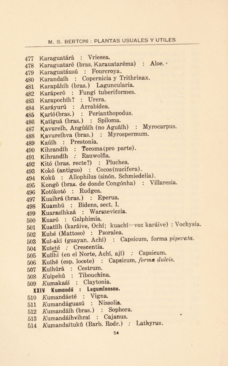 477 Karaguatára : Vriesea. 478 Karaguataré (bras. Karauataréma) : Aloe. - 479 Karaguatáusú : Fourcroya. 480 Karandaíh : Copernicia y Trithrinax. 481 Karapáhíh (bras.) Laguncularia. 482 Karáperó : Fungi tuberiformes. 483 Karapochíh? : Urera. 484 Karáyurú : Arrabidea. 485 Karí°(bras.) : Perianthopodus. 486 Katíguá (bras.) : Spiloma. 487 Kavureíh, Angúáíh (no Aguáíh) : Myrocarpus. 488 Kavureíhva (bras.) : Myrospermum. 489 Kaúíh : Prestonia. 490 Kihrandíh : Tecoma(pro parte). 491 Kihrandíh : Rauwolfia. 492 Kitó (bras. recte?) : Pluchea. 493 Kokó (antiguo) : Cocos (nucífera). 494 Kokü : Allophilus (sinón. Schmiedelia). 495 Kongo (bras. de donde Congónha) : Viilaresia. 496 Kotókotó : Rudgea. 497 Kuaihrá (bras.) : Eperua. 498 Kuambú : Bidens, sect. I. 499 Kuarasíhkaá : Warszeviczia. 500 Kuaró : Galphimia. . 501 Kuatííh (karáive, Ochí; kuachí=voz karaive) : Vochysia 502 Kubé (Mattoso) : Psoralea. 503 Kui-akí (guayan. Achí) : Capsicum, forma piperatu. 504 Kuieté : Crescentia. 505 Kuiíhí (en el Norte, Achí, ají) : Capsicum. 506 Kuíhé (esp. locote) : Capsicum, forma duteis. 507 Kuíhürá : Cestrum. 508 Xuipehü : Tibouchina. 509 Aumakaáí : Claytonia. XXIV K umandá : Legumlnosae. 510 jffumandáeté : Yigna. 511 Aumandáguasú : Nissolia. 512 Aumandáíh (bras.) : Sophora. 513 Aumandáihvihraí : Cajanus. 514 Rumandaítukú (Barb. Rodr.) : Lathyrus.