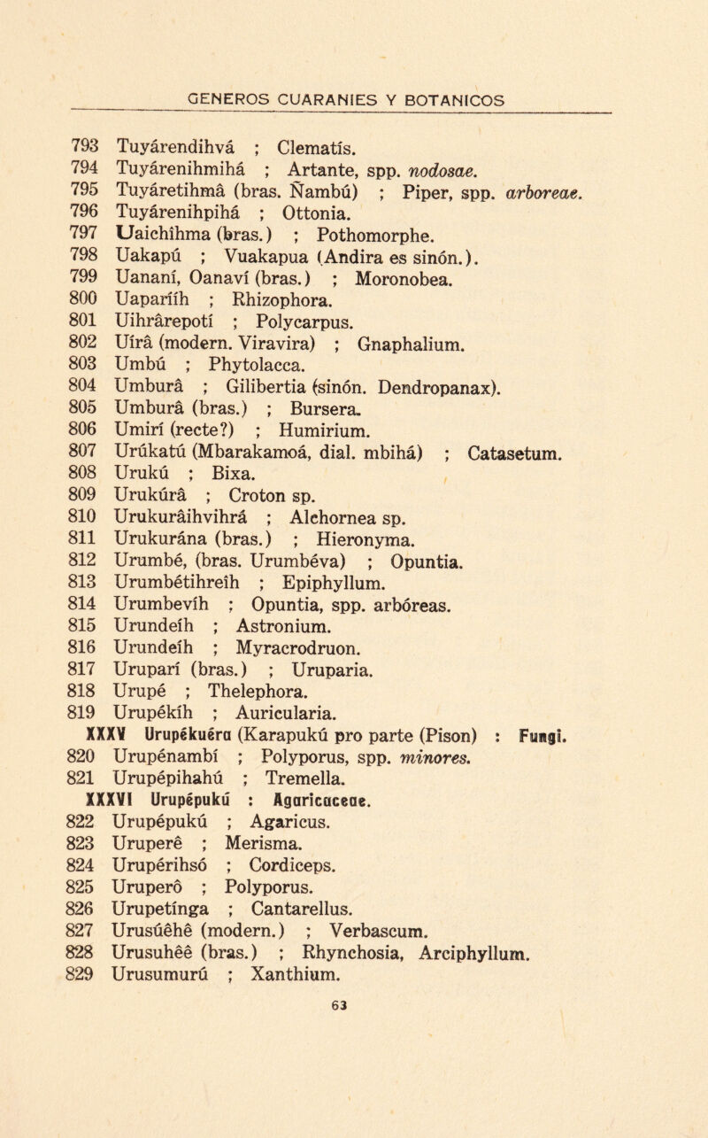 793 Tuyárendihvá ; Clematís. 794 Tuyárenihmihá ; Artante, spp. nodosae. 795 Tuyáretihmá (bras. Ñambú) ; Piper, spp. arhoreae. 796 Tuyárenihpihá ; Ottonia. 797 Uaichíhma (bras.) ; Pothomorphe. 798 Uakapú ; Vuakapua í Andira es sinón.). 799 Uananí, Oanaví (bras.) ; Moronobea. 800 Uaparííh ; Rhizophora. 801 Uihrárepotí ; Polycarpus. 802 Uírá (modera. Viravira) ; Gnaphalium, 803 Umbú ; Phytolacca. 804 Umburá ; Gilibertia (sinón. Dendropanax), 805 Umburá (bras.) ; Bursera. 806 Umirí (recte?) ; Humirium. 807 Urúkatú (Mbarakamoá, dial, mbihá) ; Catasetum. 808 Urukú ; Bixa. 809 Urukúrá ; Croton sp. 810 Urukuráihvihrá ; Alehornea sp. 811 Urukurána (bras.) ; Hieronyma. 812 Urumbé, (bras. Urumbéva) ; Opuntia. 813 Urumbétihreih ; Epiphyllum, 814 Urumbevíh ; Opuntia, spp. arbóreas. 815 Urundeíh ; Astronium. 816 Urundeíh ; Myracrodruon. 817 Uruparí (bras.) ; Uruparia. 818 Urupé ; Thelephora. 819 Urupékíh ; Aurieularia. XXXV Urupékuéra (Karapukú pro parte (Pisón) : Fungí. 820 Urupénambí ; Polyporus, spp. minores. 821 Urupépihahú ; Tremella. XXXVI Urupépukú : Aguricaceae. 822 Urupépukú ; Agaricus. 823 Uruperé ; Merisma. 824 Urupérihsó ; Cordiceps. 825 Urupero ; Polyporus. 826 Uru pe tinga ; Cantarellus. 827 Urusúéhé (modera.) ; Verbascum. 828 Urusuhéé (bras.) ; Rhynchosia, Arciphyllum. 829 Urusumurú ; Xanthium.