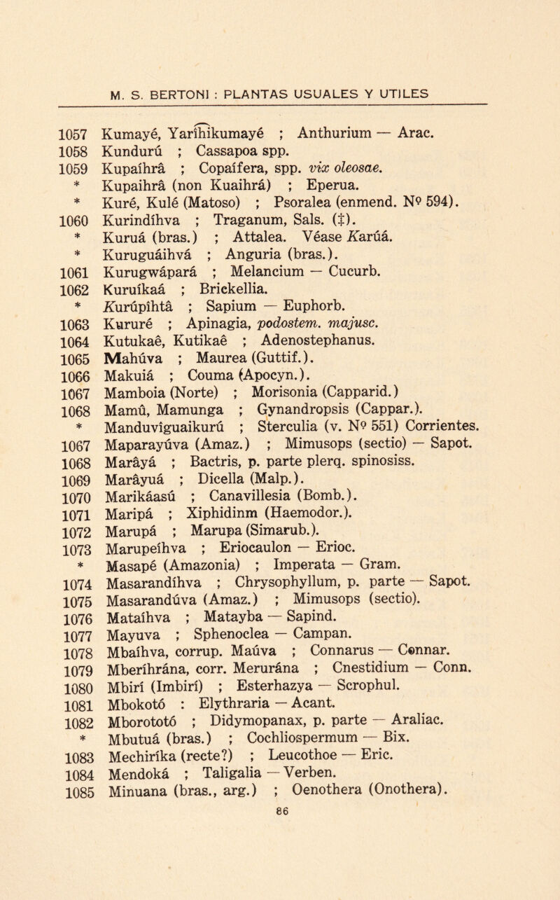 1057 Kumayé, Yaríhikumayé ; Anthurium — Arac. 1058 Kundurú ; Cassapoa spp. 1059 Kupaíhrá ; Copaífera, spp. vix oleosae. * Kupaihrá (non Kuaihrá) ; Eperua. * Kuré, Kulé (Matoso) ; Psoralea (enmend. N? 594). 1060 Kurindíhva ; Traganum, Sais. ($). * Kuruá (bras.) ; Attalea. Véase Karúá. * Kuruguáihvá ; Anguria (bras.). 1061 Kurugwápará ; Melancium — Cucurb. 1062 Kuruíkaá ; Brickellia. * Aurúpíhtá ; Sapium — Euphorb. 1063 Kururé ; Apinagia, podostem. majusc. 1064 Kutukaé, Kutikaé ; Adenostephanus. 1065 Mahúva ; Maurea (Guttif.). 1066 Makuiá ; Couma (Apocyn.). 1067 Mamboia (Norte) ; Morisonia (Capparid.) 1068 Mamü, Mamunga ; Gynandropsis (Cappar.). * Manduvíguaikurú ; Sterculia (v. N? 551) Corrientes. 1067 Maparayúva (Amaz.) ; Mimusops (sectio) — Sapot. 1068 Maráyá ; Bactris, p. parte plerq. spinosiss. 1069 Maráyuá ; Dicella (Malp.). 1070 Marikáasú ; Canavillesia (Bomb.). 1071 Maripá ; Xiphidinm (Haemodor.). 1072 Marupá ; Marupa (Simarub.). 1073 Marupeíhva ; Erioeaulon — Erioe. * Masapé (Amazonia) ; Imperata — Gram. 1074 Masarandíhva ; Chrysophyllum, p. parte — Sapot. 1075 Masarandúva (Amaz.) ; Mimusops (sectio). 1076 Mataíhva ; Matayba — Sapind. 1077 Mayuva ; Sphenoclea — Campan. 1078 Mbaíhva, corrup. Maúva ; Connarus — Connar. 1079 Mberíhrána, corr. Merurána ; Cnestidium — Conn. 1080 Mbirí (Imbirí) ; Esterhazya — Scrophul. 1081 Mbokotó : Elythraria — Acant. 1082 Mborototó ; Didymopanax, p. parte — Araliac. * Mbutuá (bras.) ; Cochliospermum — Bix. 1083 Mechiríka (reete?) ; Leucothoe — Eric. 1084 Mendoká ; Taligalia — Verben. 1085 Minuana (bras., arg.) ; Oenothera (Onothera).