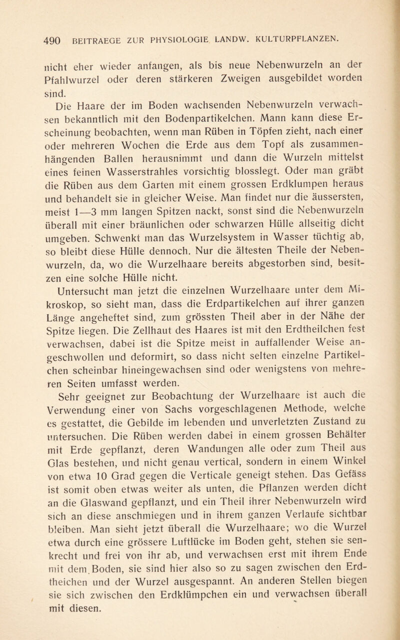 nicht eher wieder anfangen, als bis neue Nebenwurzeln an der Pfahlwurzel oder deren stärkeren Zweigen ausgebildet worden sind. Die Haare der im Boden wachsenden Nebenwurzeln verwach¬ sen bekanntlich mit den Bodenpartikelchen. Mann kann diese Er¬ scheinung beobachten, wenn man Rüben in Töpfen zieht, nach einer oder mehreren Wochen die Erde aus dem Topf als zusammen¬ hängenden Ballen herausnimmt und dann die Wurzeln mittelst eines feinen Wasserstrahles vorsichtig blosslegt. Oder man gräbt die Rüben aus dem Garten mit einem grossen Erdklumpen heraus und behandelt sie in gleicher Weise. Man findet nur die äussersien, meist 1—3 mm langen Spitzen nackt, sonst sind die Nebenwurzeln überall mit einer bräunlichen oder schwarzen Hülle allseitig dicht umgeben. Schwenkt man das Wurzelsystem in Wasser tüchtig ab, so bleibt diese Hülle dennoch. Nur die ältesten Theile der Neben- wurzeln, da, wo die Wurzelhaare bereits abgestorben sind, besit¬ zen eine solche Hülle nicht. Untersucht man jetzt die einzelnen Wurzelhaare unter dem Mi¬ kroskop, so sieht man, dass die Erdpartikelchen auf ihrer ganzen Länge angeheftet sind, zum grössten Theil aber in der Nähe der Spitze liegen. Die Zellhaut des Haares ist mit den Erdtheilchen fest verwachsen, dabei ist die Spitze meist in auffallender Weise an¬ geschwollen und deformirt, so dass nicht selten einzelne Partikel¬ chen scheinbar hineingewachsen sind oder wenigstens von mehre¬ ren Seiten umfasst werden. Sehr geeignet zur Beobachtung der Wurzelhaare ist auch die Verwendung einer von Sachs vorgeschlagenen Methode, welche es gestattet, die Gebilde im lebenden und unverletzten Zustand zu untersuchen. Die Rüben werden dabei in einem grossen Behälter mit Erde gepflanzt, deren Wandungen alle oder zum Theii aus Glas bestehen, und nicht genau vertical, sondern in einem Winkel von etwa 10 Grad gegen die Verticale geneigt stehen. Das Gefäss ist somit oben etwas weiter als unten, die Pflanzen werden dicht an die Glaswand gepflanzt, und ein Theil ihrer Nebenwurzeln wird sich an diese anschmiegen und in ihrem ganzen Verlaufe sichtbar bleiben. Man sieht jetzt überall die Wurzelhaare; wo die Wurzel etwa durch eine grössere Luftlücke im Boden geht, stehen sie sen¬ krecht und frei von ihr ab, und verwachsen erst mit ihrem Ende mit dem.Boden, sie sind hier also so zu sagen zwischen den Erd- theichen und der Wurzel ausgespannt. An anderen Stellen biegen sie sich zwischen den Erdklümpchen ein und verwachsen überall mit diesen.