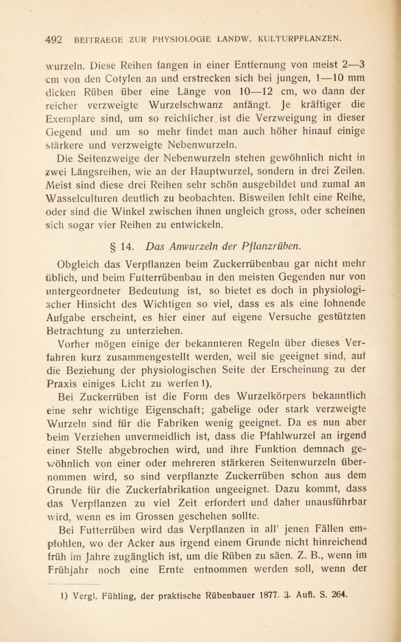 wurzeln. Diese Reihen fangen in einer Entfernung von meist 2—3 cm von den Cotylen an und erstrecken sich bei jungen, 1—10 mm dicken Rüben über eine Länge von 10—12 cm, wo dann der reicher verzweigte Wurzelschwanz anfängt. Je kräftiger die Exemplare sind, um so reichlicher .ist die Verzweigung in dieser Gegend und um so mehr findet man auch höher hinauf einige stärkere und verzweigte Nebenwurzeln. Die Seitenzweige der Nebenwurzeln stehen gewöhnlich nicht in zwei Längsreihen, wie an der Hauptwurzel, sondern in drei Zeilen. Meist sind diese drei Reihen sehr schön ausgebildet und zumal an Wasselculturen deutlich zu beobachten. Bisweilen fehlt eine Reihe, oder sind die Winkel zwischen ihnen ungleich gross, oder scheinen sich sogar vier Reihen zu entwickeln. § 14. Das Anwurzeln der Pflanzrüben. Obgleich das Verpflanzen beim Zuckerrübenbau gar nicht mehr üblich, und beim Futterrübenbau in den meisten Gegenden nur von untergeordneter Bedeutung ist, so bietet es doch in physiologi¬ scher Hinsicht des Wichtigen so viel, dass es als eine lohnende Aufgabe erscheint, es hier einer auf eigene Versuche gestützten Betrachtung zu unterziehen. Vorher mögen einige der bekannteren Regeln über dieses Ver¬ fahren kurz zusammengestellt werden, weil sie geeignet sind, auf die Beziehung der physiologischen Seite der Erscheinung zu der Praxis einiges Licht zu werfen 1). Bei Zuckerrüben ist die Form des Wurzelkörpers bekanntlich eine sehr wichtige Eigenschaft; gabelige oder stark verzweigte Wurzeln sind für die Fabriken wenig geeignet. Da es nun aber beim Verziehen unvermeidlich ist, dass die Pfahlwurzel an irgend einer Stelle abgebrochen wird, und ihre Funktion demnach ge¬ wöhnlich von einer oder mehreren stärkeren Seitenwurzeln über¬ nommen wird, so sind verpflanzte Zuckerrüben schon aus dem Grunde für die Zuckerfabrikation ungeeignet. Dazu kommt, dass das Verpflanzen zu viel Zeit erfordert und daher unausführbar wird, wenn es im Grossen geschehen sollte. Bei Futterrüben wird das Verpflanzen in alb jenen Fällen em¬ pfohlen, wo der Acker aus irgend einem Grunde nicht hinreichend früh im Jahre zugänglich ist, um die Rüben zu säen. Z. B., wenn im Frühjahr noch eine Ernte entnommen werden soll, wenn der 1) Vergl. Fiihling, der praktische Rübenbauer 1877- 3. Auf!. S. 264.