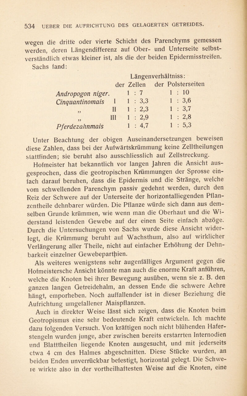 wegen die dritte oder vierte Schicht des Parenchyms gemessen werden, deren Längendifferenz auf Ober- und Unterseite selbst¬ verständlich etwas kleiner ist, als die der beiden Epidermisstreifen. Sachs fand: der Andropogon niger. Cinquantinomais I Pferdezahnmais Längenverhältniss: Zellen der Polsterseiten 1 7 1 10 1 3,3 1 3,6 1 2,3 1 3,7 1 2,9 1 2,8 1 4,7 1 5,3 Unter Beachtung der obigen Auseinandersetzungen beweisen diese Zahlen, dass bei der Aufwärtskrümmung keine Zelltheilungen stattfinden; sie beruht also ausschliesslich auf Zellstreckung. Hofmeister hat bekanntlich vor langen Jahren die Ansicht aus¬ gesprochen, dass die geotropischen Krümmungen der Sprosse ein¬ fach darauf beruhen, dass die Epidermis und die Stränge, welche vom schwellenden Parenchym passiv gedehnt werden, durch den Reiz der Schwere auf der Unterseite der horizontalliegenden Pflan- zentheile dehnbarer würden. Die Pflanze würde sich dann aus dem¬ selben Grunde krümmen, wie wenn man die Oberhaut und die Wi¬ derstand leistenden Gewebe auf der einen Seite einfach abzöge. Durch die Untersuchungen von Sachs wurde diese Ansicht wider¬ legt, die Krümmung beruht auf Wachsthum, also auf wirklicher Verlängerung aller Theile, nicht auf einfacher Erhöhung der Dehn¬ barkeit einzelner Gewebepartfiien. Als weiteres wenigstens sehr augenfälliges Argument gegen die Hofmeistersche Ansicht könnte man auch die enorme Kraft anführen, welche die Knoten bei ihrer Bewegung ausüben, wenn sie z. B. den ganzen langen Getreidehalm, an dessen Ende die schwere Aehre hängt, emporheben. Noch auffallender ist in dieser Beziehung die Aufrichtung umgefallener Maispflanzen. Auch in direkter Weise lässt sich zeigen, dass die Knoten beim Geotropismus eine sehr bedeutende Kraft entwickeln. Ich machte dazu folgenden Versuch. Von kräftigen noch nicht blühenden Hafer¬ stengeln wurden junge, aber zwischen bereits erstarrten Internodien und Blatttheilen liegende Knoten ausgesucht, und mit jederseits etwa 4 cm des Halmes abgeschnitten. Diese Stücke wurden, an beiden Enden unverrückbar befestigt, horizontal gelegt. Die Schwe¬ le wirkte also in der vortheilhaftesten Weise auf die Knoten, eine