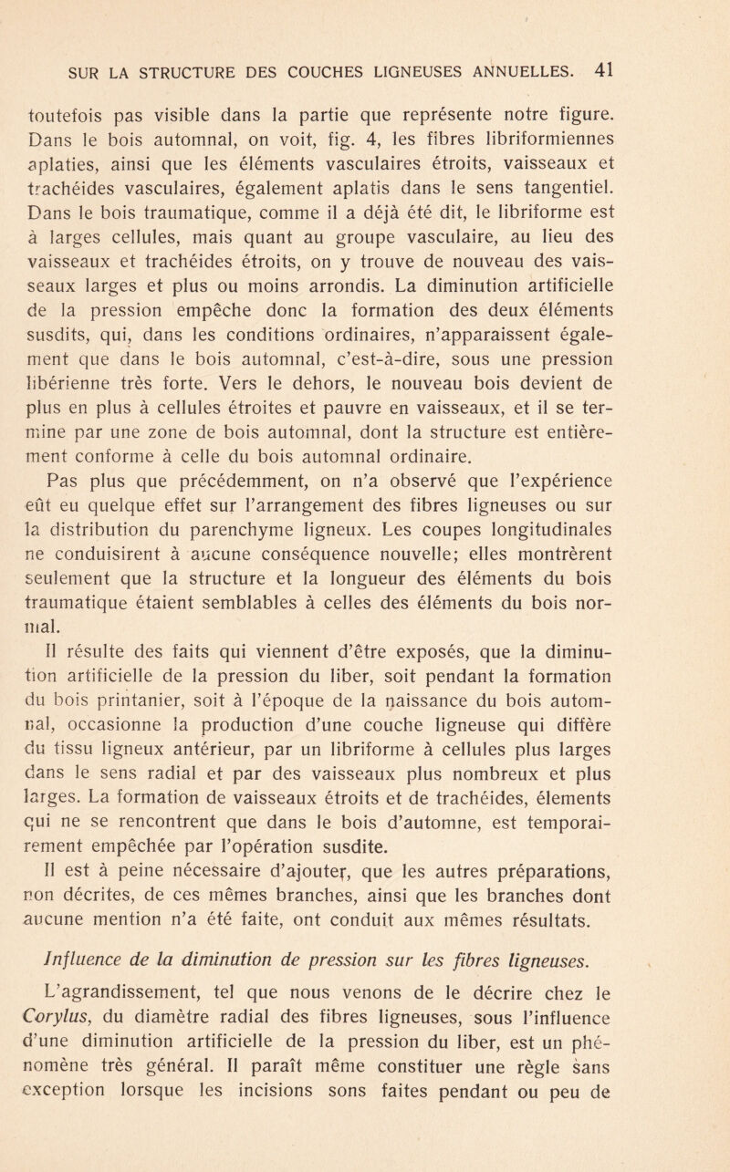 toutefois pas visible dans la partie que représente notre figure. Dans le bois automnal, on voit, fig. 4, les fibres libriformiennes aplaties, ainsi que les éléments vasculaires étroits, vaisseaux et trachéides vasculaires, également aplatis dans le sens tangentiel. Dans le bois traumatique, comme il a déja été dit, le libriforme est a larges cellules, mais quant au groupe vasculaire, au lieu des vaisseaux et trachéides étroits, on y trouve de nouveau des vais¬ seaux larges et plus ou moins arrondis. La diminution artificielle de la pression empêche donc la formation des deux éléments susdits, qui, dans les conditions ordinaires, n’apparaissent égale¬ ment que dans le bois automnal, c’est-a-dire, sous une pression libérienne trés forte. Vers le dehors, le nouveau bois devient de plus en plus ä cellules étroites et pauvre en vaisseaux, et il se ter- mine par une zone de bois automnal, dont la structure est entière- ment conforme ä celle du bois automnal ordinaire. Pas plus que précédemment, on n’a observé que l’expérience eut eu quelque effet sur Larrangement des fibres ligneuses ou sur la distribution du parenchyme ligneux. Les coupes longitudinales ne conduisirent a aucune conséquence nouvelle; elles montrèrent seulement que la structure et la longueur des éléments du bois traumatique étaient semblables ä celles des éléments du bois nor¬ mal. 11 résulte des faits qui viennent d’être exposés, que la diminu¬ tion artificielle de la pression du über, soit pendant la formation du bois printanier, soit a l’époque de la naissance du bois au torn - il al, occasionne la production d’une couche ligneuse qui diffère du tissu ligneux antérieur, par un libriforme ä cellules plus larges dans le sens radial et par des vaisseaux plus nombreux et plus larges. La formation de vaisseaux étroits et de trachéides, élements qui ne se rencontrent que dans le bois d’automne, est temporai- rement empêchée par Lopération susdite. II est ä peine nécessaire d’ajoutef, que les autres préparations, non décrites, de ces mêmes branches, ainsi que les branches dont aucune mention n’a été faite, ont conduit aux mêmes résultats. Jnfluence de la diminution de pression sur les fibres ligneuses. L’agrandissement, tel que nous venons de le décrire chez le Corylus, du diamètre radial des fibres ligneuses, sous Linfluence d’une diminution artificielle de la pression du liber, est un phé- nomène trés général. II paraït même constituer une régie sans exception lorsque les incisions sons faites pendant ou peu de