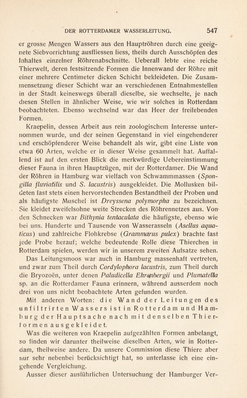 er grosse Mengen Wassers aus den Hauptröhren durch eine geeig¬ nete Siebvorrichtung ausfliessen Hess, theils durch Ausschöpfen des Inhaltes einzelner Röhrenabschnitte. Ueberall lebte eine reiche Thierwelt, deren festsitzende Formen die Innenwand der Röhre mit einer mehrere Centimeter dicken Schicht bekleideten. Die Zusam¬ mensetzung dieser Schicht war an verschiedenen Entnahmestellen in der Stadt keineswegs überall dieselbe, sie wechselte, je nach diesen Stellen in ähnlicher Weise, wie wir solches in Rotterdam beobachteten. Ebenso wechselnd war das Heer der freilebenden Formen. Kraepelin, dessen Arbeit aus rein zoologischem Interesse unter¬ nommen wurde, und der seinen Gegenstand in viel eingehenderer und erschöpfenderer Weise behandelt als wir, gibt eine Liste von etwa 60 Arten, welche er in dieser Weise gesammelt hat. Auffal¬ lend ist auf den ersten Blick die merkwürdige Uebereinstimmung dieser Fauna in ihren Hauptzügen, mit der Rotterdamer. Die Wand der Röhren in Hamburg war vielfach von Schwammmassen (Spon- gilla flaviatilis und S. lacustris) ausgekleidet. Die Mollusken bil¬ deten fast stets einen hervorstechenden Bestandtheil der Proben und als häufigste Muschel ist Dreyssena polymorpha zu bezeichnen. Sie kleidet zweifelsohne weite Strecken des Röhrennetzes aus. Von¬ den Schnecken war Bithyma tentaculata die häufigste, ebenso wie bei uns. Hunderte und Tausende von Wasserasseln (Asellus aqua- ticus) und zahlreiche Flohkrebse (Grammärus pulex) brachte fast jede Probe herauf; welche bedeutende Rolle diese Thierchen in Rotterdam spielen, werden wir in unserem zweiten Aufsatze sehen. Das Leitungsmoos war auch in Hamburg massenhaft vertreten, und zwar zum Theil durch Cordylophora lacustris, zum Theil durch die Bryozoën, unter denen Paludicella Ehrqnhergii und PlumatèMa sp. an die Rotterdamer Fauna erinnern, während ausserdem noch drei von uns nicht beobachtete Arten gefunden wurden. Mit anderen Worten: die Wand der Leitungen des unfiltrirten Wassers ist in Rotterdam und Ham¬ burg der Hauptsache nach mit denselben Thier¬ formen ausgekleidet. Was die weiteren von Kraepelin aufgezählten Formen anbelangt, so finden wir darunter theilweise dieselben Arten, wie in Rotter¬ dam, theilweise andere. Da unsere Commission diese Thiere aber nur sehr nebenbei berücksichtigt hat, so unterlasse ich eine ein¬ gehende Vergleichung. Ausser dieser ausführlichen Untersuchung der Hamburger Ver-