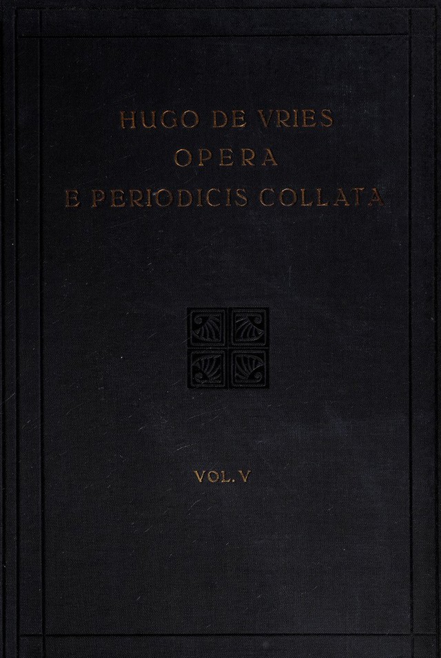 digitised image 1