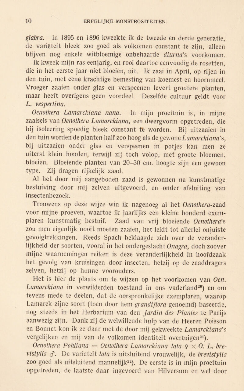 glabra. In 1895 en 1896 kweekte ik de tweede en derde generatie, de variëteit bleek zoo goed als volkomen constant te zijn, alleen blijven nog enkele witbloemige onbehaarde cliarna’s voorkomen. ik kweek mijn ras eenjarig, en rooi daartoe eenvoudig de rosetten, die in het eerste jaar niet bloeien, uit. Ik zaai in April, op rijen in den tuin, met eene krachtige bemesting van koemest en hoornmeel. Vroeger zaaien onder glas en verspeenen levert grootere planten, maar heeft overigens geen voordeel. Dezelfde cultuur geldt voor L. vespertina. Oenothera Lamarckiana nanet. In mijn proeftuin is, in mijne zaaisels van Oenothera Lamarckiana, een dwergvorm opgetreden, die bij isoleering spoedig bleek constant te worden. Bij uitzaaien in den tuin worden de planten half zoo hoog als de gewone Lamarckiana’s, bij uitzaaien onder glas en verspeenen in potjes kan men ze uiterst klein houden, terwijl zij toch volop, met groote bloemen, bloeien. Bloeiende planten van 20-30 cm. hoogte zijn een gewoon type. Zij dragen rijkelijk zaad. Al het door mij aangeboden zaad is gewonnen na kunstmatige bestuiving door mij zei ven uitgevoerd, en onder afsluiting van insectenbezoek. Trouwens op deze wijze win ik nagenoeg al het Oenothera-zaad voor mijne proeven, waartoe ik jaarlijks een kleine honderd exem¬ plaren kunstmatig bestuif. Zaad van vrij bloeiende Oenothera’s zou men eigenlijk nooit moeten zaaien, het leidt tot allerlei onjuiste gevolgtrekkingen. Reeds Spach beklaagde zich over de verander¬ lijkheid der soorten, vooral in het ondergeslacht Onagra, doch zoover mijne waarnemingen reiken is deze veranderlijkheid in hoofdzaak het gevolg van kruisingen door insecten, hetzij op de zaaddragers zelven, hetzij op hunne voorouders. Het is hier de plaats om te wijzen op het voorkomen van Oen. Lamarckiana in verwilderden toestand in ons vaderland20) en om tevens mede te deelen, dat de oorspronkelijke exemplaren, waarop Lamarck zijne soort (toen door hem grandi'flora genoemd) baseerde, nog steeds in het Herbarium van den Jardin des Plantes te Parijs aanwezig zijn. Dank zij de welwillende hulp van de Heeren Poisson en Bonnet kon ik ze daar met de door mij gekweekte Lamarckiana’$ vergelijken en mij van de volkomen identiteit overtuigen21). Oenothera Pohliana = Oenothera Lamarckiana lata $ x O. L. bre- vistylis cT. De variëteit lata is uitsluitend vrouwelijk, de brevistylis zoo goed als uitsluitend mannelijk22). De eerste is in mijn proeftuin opgetreden, de laatste daar ingevoerd van Hilversum en wel door