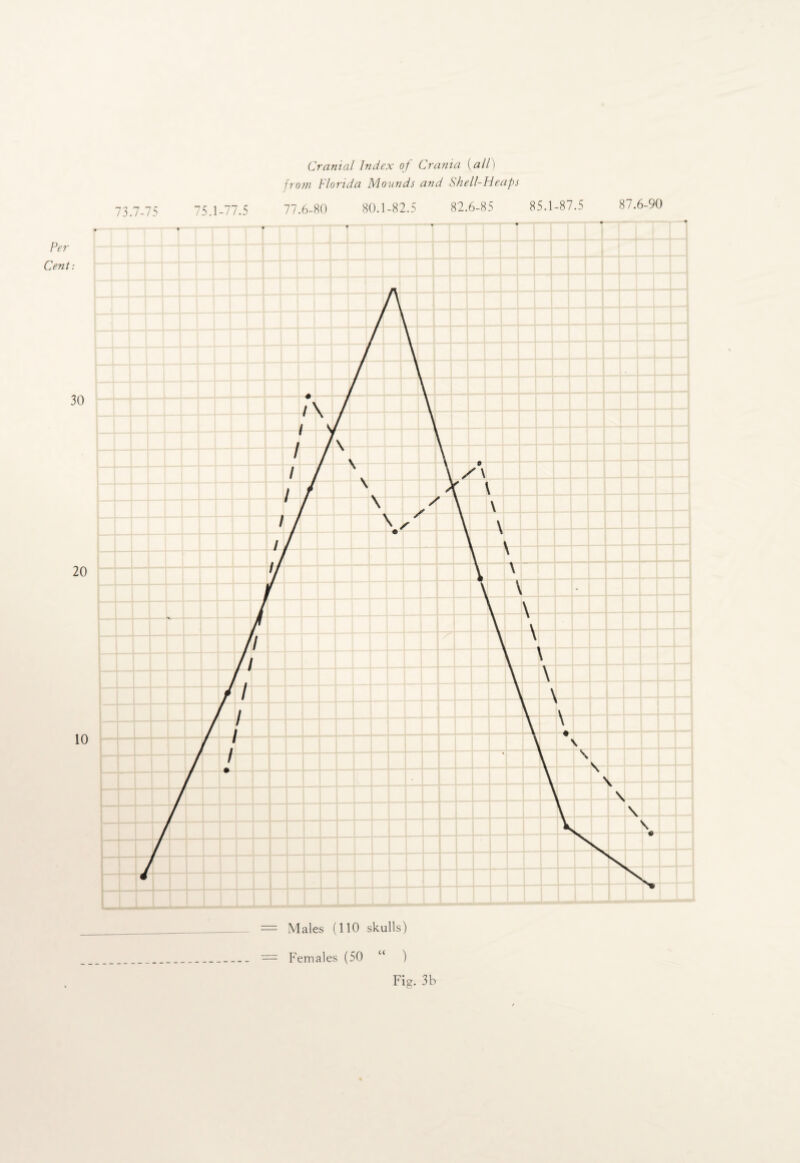 Cranial Index of Crania (all) from Florida Mounds and Shell-Heaps Per- Cent : 30 20 10 73.7-75 75.1-77.5 77.6-80 80.1-82.5 82.6-85 85.1-87.5 87.6-90 = Males (110 skulls) — Females (50 “ ) Fig. 3b