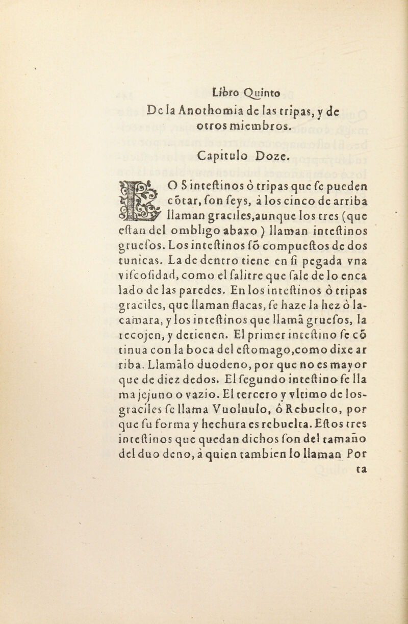 Déla Anothomiade las tripas,y de otros miembros. Capitulo Dozc. O S inteftinos ó tripas que fe pueden corar, fon fcys, i los cinco de arriba llaman gráciles,aunque los tres (que eftandel ombligo abaxo ) llaman inteftinos grueíos. Los inteftinos fócompueftos de dos túnicas. La de dentro tiene en íi pegada vna viícoiidadjComo el falitre que Tale de lo enea lado de las paredes. En los inteftinos ó tripas gráciles, que llaman flacas, fe haze la hez ó la- camara, y los inteftinos que llama gruefos, la tecojen, y detienen. El primer inteftino fe co tinua con la boca del eftomago,como dixe ar riba. Llámalo duodeno, por que no es mayor que de diez dedos. El fegundo inteftinofe lia ma jc/uno o vazio. El tercero y vltimo de los- gráciles fe llama Vuoluuio, ó Rcbuelto, por que fu forma y hechura es rebu cita. Ellos tres inteftinos que quedan dichos fon del tamaño del dúo de no, á quien también lo llaman Por ta