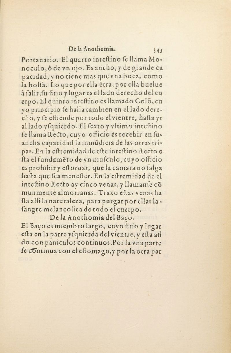 Portanario. El quarto inteftino fe llama Wa¬ tt o culo, ó de vn ojo. Es ancho, y de grande ca pací dad, y no tiene mas que vna boca, como la bolfa. Lo que por ella cera, por ella bueluc á falir,fu litio y lugar es el lado derecho del cu crpo. El quinto inteftino es llamado Coló, cu yo principio fe halla también en el lado dere* cho, y fe eftiende por todo el vientre, hafta yr al lado yfquicrdo. El Texto y vitimo inteftino fe llama Re¿lo, cuyo officio es recebir en fu- ancha capacidad la inmúdicia de las otras tri¬ pas. En la eftremidad de efte inteftino Redro c fta el fundaméto de vn mufeulo, cuyo officio es prohibir y eftoruar, que la camara no Taiga hafta que fea menefter. En la eftremidad de el inteftino Recio ay cinco venas, y llamante c5 munmente almorranas. Traxo eftas venas ha ftaalli la naturaleza, para purgar por ellas la~ fangre melancólica de todo el cuerpo. De la Anothomia del Ba^o. El Baco es miembro largo, cuyo litio y lugar efta en la parte yfquicrda del vientre, y efta aíi doconpaniculoscontinuos.Porlavnaparte fe cTSntinuacon el eftomago,y por laotrapar