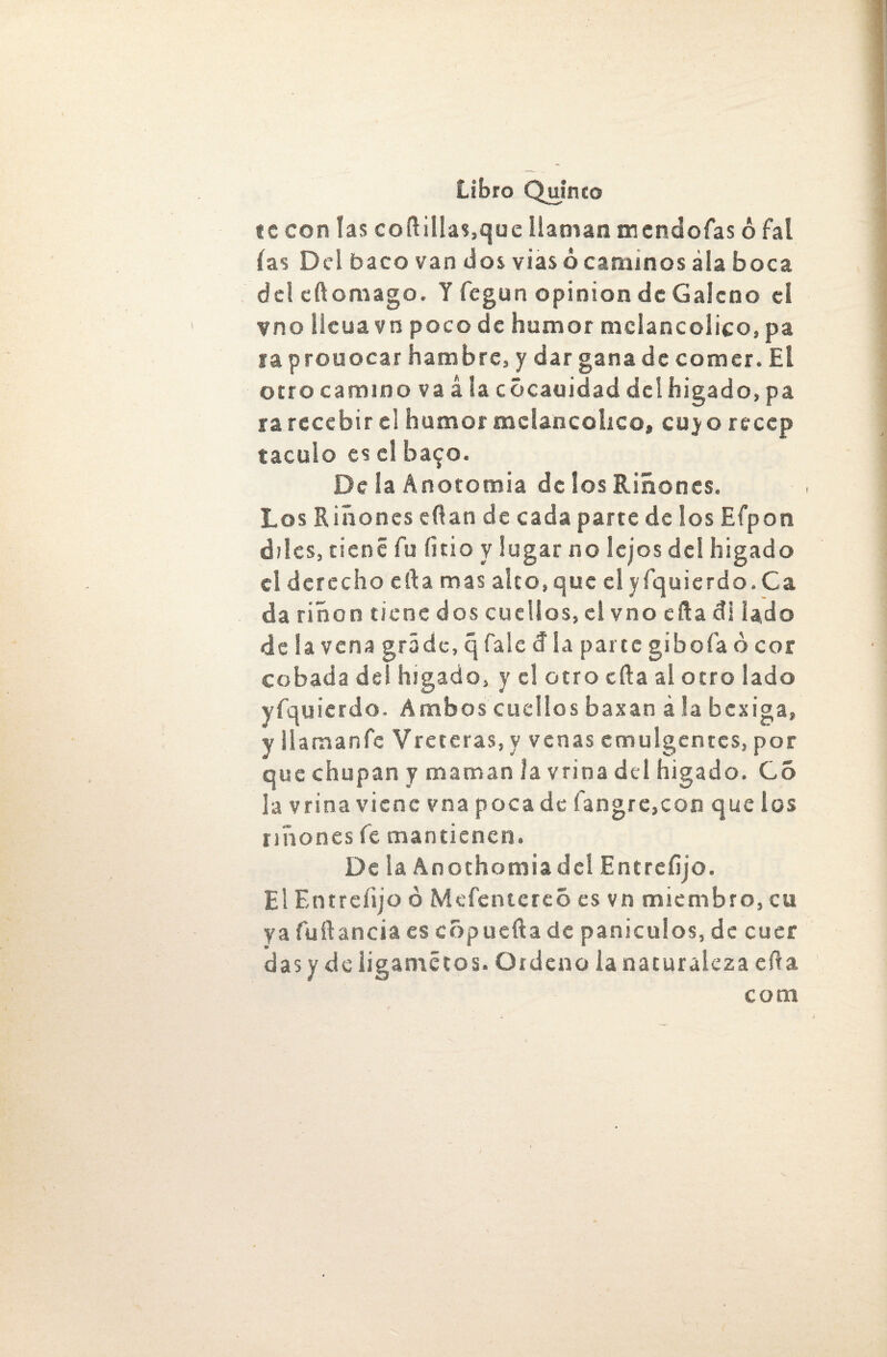 te con las coft¡Uas,que llaman mendofas ó fa! ías Del baco van dos vías ó caminos ala boca del cftomago. Y fegun opinión de Galeno el vno licúa vn poco de humor melancólico, pa la prouocar hambre, y dar gana de comer. El otro camino va á la cócauidad del hígado, pa rarccebir el humor melancólico, cuyo recep tacuío es el ba^o. De la Anotomia de los Riñones. Los Riñones eftan de cada parte de los Efpon di les, tiene fu íitio y lugar no lejos del higado el derecho efta mas alto,que elyfquierdo.Ca da riñon tiene dos cuellos, el vno efta di lado de la vena grade, q Tale cf la pane giboía o cor cebada del hígado, y el otro cfta al otro lado yfquicrdo. Ambos cuellos baxan á la bexiga, y llamanfc Vreteras, y venas cmulgentcs, por que chupan y maman fa vrina del higado. C5 la vrina viene vna poca de íangre,con que los riñones fe mantienen. De la Anothomiadel Entrefijo. El Entreíijo ó Mefenterco es vn miembro, cu ya fuftancia es cópuefta de panicillos, de cuer das y de ligametos. Ordeno la naturaleza efta com