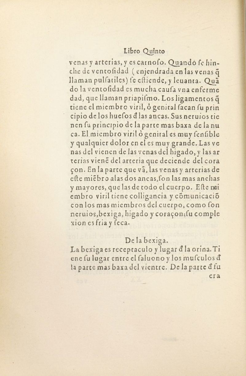 venas y arterias, y es carnofo. Quandó fe hin¬ che de ventofidad ( enjendrada en las venas q llaman pulfatiles) fe efticnde, y leuanta. Quá do la vcntoíidad es mucha caufa vna enferme dad, que liaman priapifmo. Los ligamentos q tiene el miembro viril, ó genital facan fu prin cipiodeloshuefosdiasancas. Susneruiostie nen fu principio de la parte mas baxa de la nu ca. El miembro viril ó genital es muy feníible y qualquier dolor en el es muy grande. Las ve ñas del vienen de las venas del hígado, y las ar terias viene de! arteria que deciende del cora jon. En la parte que vi, las venas y arterias de efte miébro alas dos ancas,fon las mas anchas y mayores, que las de todo el cuerpo. Efte nci. embro viril tiene colligancia y comunicaciS con los mas miembros del cuerpo, como fon neruios,bexiga, higado y cora^on^fu comple xión es fría y íeca. De la bexiga. La bexiga es receptáculo y lugar d la orina.Ti ene fu lugar entre el faiuono y los mufeulos d la parte mas baxa del vientre. De la par te d fu era