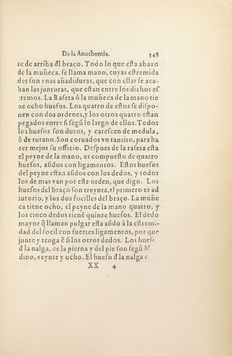 te de arriba di braco. Todoloqueeftaabaxo de la muñeca, fe llama mano, cuyas eftrcmida des fon vnas añadiduras, que con ellas fe aca¬ ban las junturas, que eftan éntrelos dichos ef iremos. LaRafetaólamuñecadclamanotie nc ocho huefos. Los quatro de eftos fe difpo- nen con dos ordenes,y los otros quatro eftan ?egados entre fi fegú lo largo de ellos.Todos cshuefos fon duros, y carefcen de medula, o de tutano.Son coruados vn tantico,para ha zer mejor fu officio. Defpues déla rafeta efta elpeynede la mano, es compuefto dequatro huefos, aíidos con ligamentos. Eftos huefos del peyne eftan afidos con los dedos, y todos los de mas van por efte orden, que digo. Los huefos del braco fon trcynca,el primero es ad iutorio, y los dos focilles del bra^o. La muñe ca tiene ocho, el peyne de la mano quatro, y los cinco dedos tiene quinze huefos. El dedo mayor q llaman pulgar efta aíido á la eítremi- dad del focil con fuertes ligamentos, por que junte y tenga é filos otros dedos. Los hueít d la nalga, cte la pierna y del pie fon fegü M diño, veyntc y ocho. El huefo d la nalga c XX 4