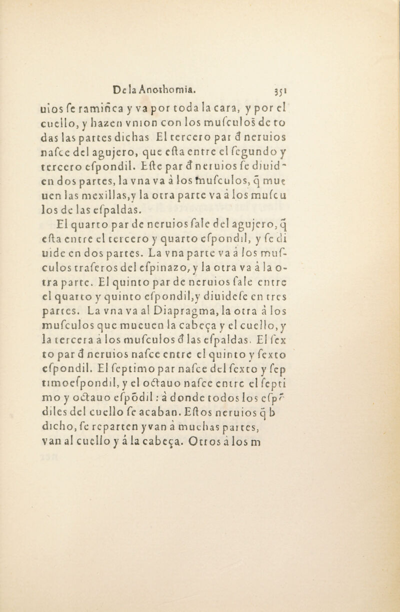 uios fe ramiñea y va por toda la cara, y por el cuello, y hazen vmon con los muículos de ro das las partes dichas El tercero par d neruios rafee del agujero, que efla entre el fegundo y tercero efpondil. Efte par dneruios fe díuid~ en dos partes, la vna va á los fnufeulos, q mué uen las mexillas,y la otra parte va á ios mufeu los de las efpaldas. Elquartopardeneruiosfaiedel agujero, q ella entre el tercero y quarto efpondil, y fe di uideendospartes. Lavnapartevaálosmuf- c u los t rafe ros del efpinazo,y laotra va álao- traparte. El quinto par de ncruios fale entre el quarto y quinto efpondil,y diuideíe en tres partes. La vna va al Diapragma, la otra á los mufculosquemueuenlacabe^ayelcuello.y la tercera a los mufeulos d las efpaldas. El íex to par d ncruios nafee entre e! quinto y fexto efpondil. El feptimopar nafee del fexto y fep timoefpondil, y el oítauo nafee entre el fcpti mo y odiauo efpódil: á donde todos los efp' diles dclcucllo fe acaban. Eft os neruios q b dicho, fe reparten y van a muchas partes, van al cuello y á la cabera. Otros a los m