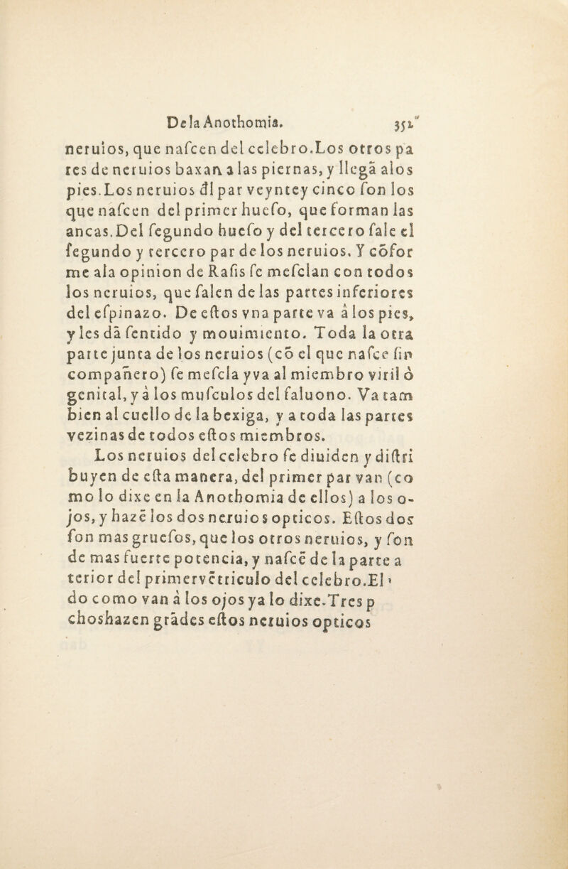 neruios, que nafcen del celebro.Los otros pa resdeneruiosbaxan.alaspiernas,y llega alos pies.Los neruios di par veyntey cinco fon los que nafcen del primer huefo, que forman las ancas.Del fegundo huefo y del tercero fale el fegundo y rercero par de los neruios, Y cófor me ala opinión de Ralis fe mefeian con todos los neruios, que falen de las partes inferiores delefpinazo. De ellos vna parte va á los pies, y les da fentido y mouimiento. Toda la otra parte junta de los neruios (co el que nafee fin compañero) fe mefcla yva al miembro viril o genital, ya los mufeulos del faluono. Va carra bien al cuello de la bexiga, y a toda las partes vezinas de todos ellos miembros. Los neruios del celebro fe diuiden y diílri huyen de ella manera, de! primer par van ico molodixeenla Anothomia de ellos) a los o- jos, y hazé los dos neruio s ópticos. Ellos dos fon masgrucfos,quelos otros neruios, y fon de mas fuerte potencia, y nafeé de la parte a terior del primervétricuio del celebro.El * do como van á los ojos ya lo dixc.Tres p choshazen grades ellos neruios ópticos
