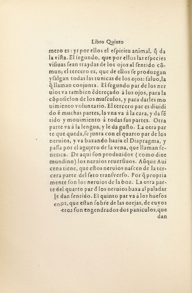 mero es: yr por ellos el cfpiritu animal, q da la vida. El legando, que por ellos lascfpecies viíiuas fean traydasde los ojos al fentido có- mun; el tercero es, que de ellos Te produzgan yfalgan todas las túnicas de los ojos: faluo.la q llaman conjunta. El fegundo par de los ner uios va también édere^ado á los ojos, para la copoíicion de los mufeulos, y para darles mo «¡miento voluntario. El tercero par es diuidi do é muchas partes, la vna va á la cara, y da fe tido y mouimicnto á todas fus partes. Otra parte va á la lengua, y le da gufto. La otra par te que queda,fe junta con el quarto par de los neruios, y va baxando hazia eí Diapragma, y paila por el agujero de la vena, que llaman fe- nctica. De aquí fon produzidos ( como dizc jnundino) los neruios reuerfiuos. Aüque Aui cena tiene, que eftos neruios nafeen de la ter* cera parte de! feto traníVcrfo. Por q propria mente fon ios neruios de la boz. La otra par¬ te del quarto par <S los neruios baxa ai paladar f e dan fenn'do. El quinto par va á ios huefos cnps, que eftan íebre de las orejas, de cuyos -eros fon engendrados dos panículos,que dan