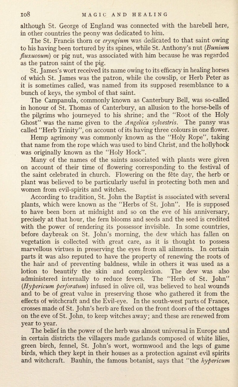 although St. George of England was connected with the harebell here, in other countries the peony was dedicated to him. The St. Francis thorn or eryngium was dedicated to that saint owing to his having been tortured by its spines, while St. Anthony’s nut (Bunium fluxuosum) or pig nut, was associated with him because he was regarded as the patron saint of the pig. St. James’s wort received its name owing to its efficacy in healing horses of which St. James was the patron, while the cowslip, or Herb Peter as it is sometimes called, was named from its supposed resemblance to a bunch of keys, the symbol of that saint. The Campanula, commonly known as Canterbury Bell, was so-called in honour of St. Thomas of Canterbury, an allusion to the horse-bells of the pilgrims who journeyed to his shrine; and the “Root of the Holy Ghost” was the name given to the Angelica sylvestris. The pansy was called “Herb Trinity”, on account of its having three colours in one flower. Hemp agrimony was commonly known as the “Holy Rope”, taking that name from the rope which was used to bind Christ, and the hollyhock was originally known as the Holy Hock”. Many of the names of the saints associated with plants were given on account of their time of flowering corresponding to the festival of the saint celebrated in church. Flowering on the fete day, the herb or plant was believed to be particularly useful in protecting both men and women from evil-spirits and witches. According to tradition, St. John the Baptist is associated with several plants, which were known as the “Herbs of St. John”. He is supposed to have been born at midnight and so on the eve of his anniversary, precisely at that hour, the fern blooms and seeds and the seed is credited with the power of rendering its possessor invisible. In some countries, before daybreak on St. John’s morning, the dew which has fallen on vegetation is collected with great care, as it is thought to possess marvellous virtues in preserving the eyes from all ailments. In certain parts it was also reputed to have the property of renewing the roots of the hair and of preventing baldness, while in others it was used as a lotion to beautify the skin and complexion. The dew was also administered internally to reduce fevers. The “Herb of St. John” (Hypericum perforatum) infused in olive oil, was believed to heal wounds and to be of great value in preserving those who gathered it from the effects of witchcraft and the Evil-eye. In the south-west parts of France, crosses made of St. John’s herb are fixed on the front doors of the cottages on the eve of St. John, to keep witches away; and these are renewed from year to year. The belief in the power of the herb was almost universal in Europe and in certain districts the villagers made garlands composed of white lilies, green birch, fennel, St. John’s wort, wormwood and the legs of game birds, which they kept in their houses as a protection against evil spirits and witchcraft. Bauhin, the famous botanist, says that “the hypericum
