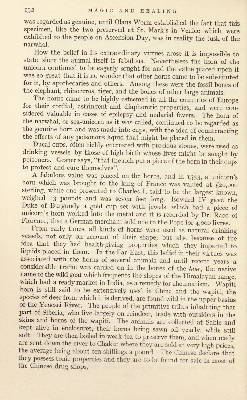 was regarded as genuine, until Olaus Worm established the fact that this specimen, like the two preserved at St. Mark’s in Venice which were exhibited to the people on Ascension Day, was in reality the tusk of the narwhal. How the belief in its extraordinary virtues arose it is impossible to state, since the animal itself is fabulous. Nevertheless the horn of the unicorn continued to be eagerly sought for and the value placed upon it was so great that it is no wonder that other horns came to be substituted for it, by apothecaries and others. Among these were the fossil bones of the elephant, rhinoceros, tiger, and the bones of other large animals. The horns came to be highly esteemed in all the countries of Europe for their cordial, astringent and diaphoretic properties, and were con¬ sidered valuable in cases of epilepsy and malarial fevers. The horn of the narwhal, or sea-unicorn as it was called, continued to be regarded as the genuine horn and was made into cups, with the idea of counteracting the effects of any poisonous liquid that might be placed in them. # Ducal cups, often richly encrusted with precious stones, were used as drinking vessels by those of high birth whose lives might be sought by poisoners. Gesner says, that the rich put a piece of the horn in their cups to protect and cure themselves”. A fabulous value was placed on the horns, and in 1553, amnicorn’s horn which was brought to the king of France was valued at £20,000 sterling, while one presented to Charles I, said to be the largest known, weighed 13 pounds and was seven feet long. EdwTard IV gave the Duke of Burgundy a gold cup set with jewels, which had a piece of unicorn’s horn worked into the metal and it is recorded by Dr. Racq of Florence, that a German merchant sold one to the Pope for 4,000 livres. From early times, all kinds of horns were used as natural drinking vessels, not only on account of their shape, but also because of the idea that they had health-giving properties which they imparted to liquids placed in them. In the Far East, this belief in their virtues was associated with the horns of several animals and until recent years a considerable traffic was carried on in the bones of the tahr, the native name of the wild goat which frequents the slopes of the Himalayan range, which had a ready market in India, as a remedy for rheumatism. Wapiti horn is still said to be extensively used in China and the wapiti, the species of deer from which it is derived, are found wild in the upper basins of the Yenesei River. The people of the primitive tribes inhabiting that part of Siberia, who live largely on reindeer, trade with outsiders in the skins and horns of the wapiti. The animals are collected at Sabie and kept alive in enclosures, their horns being sawn off yearly, while still soft. They are then boiled in weak tea to preserve them, and when ready are sent down the river to Chakut where they are sold at very high prices, the average being about ten shillings a pound. The Chinese declare that they possess tonic properties and they are to be found for sale in most of the Chinese drug shops,