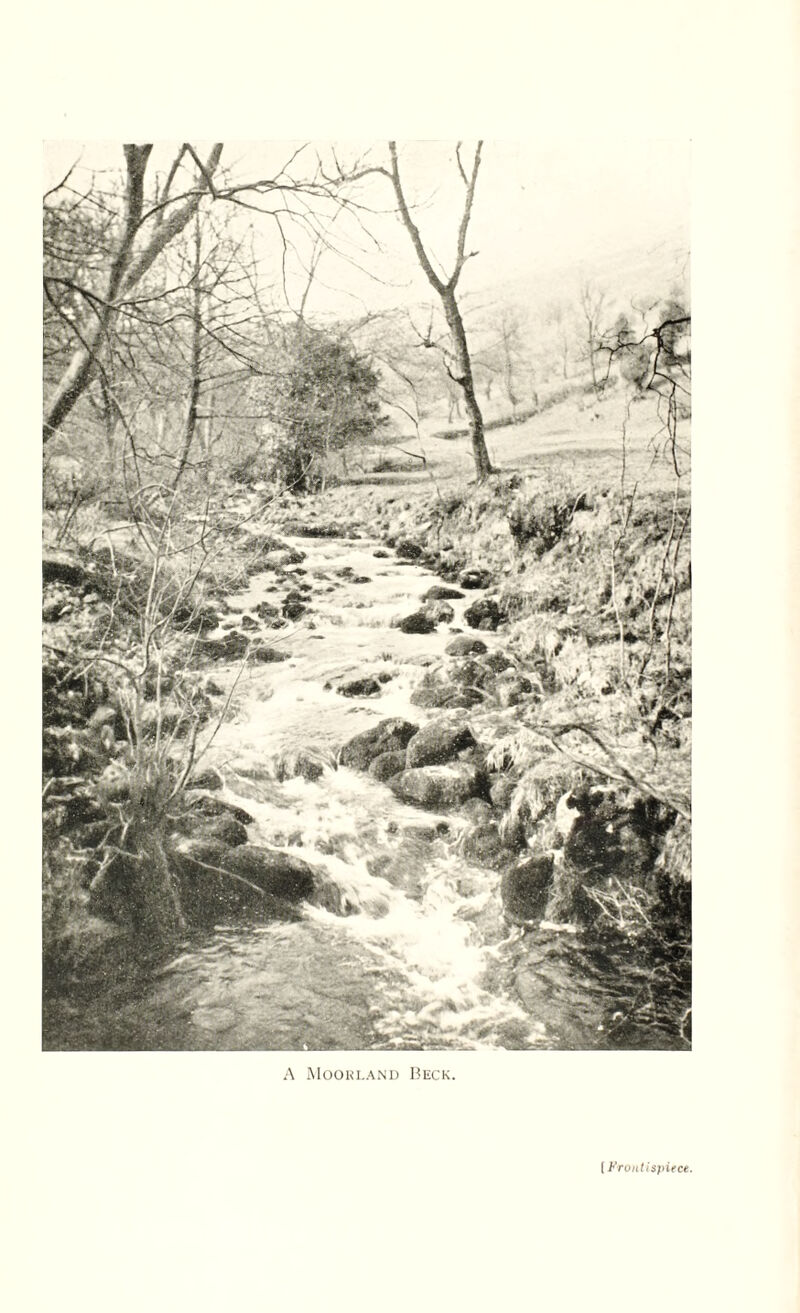 A Moorland Beck. [ Frontispiece.