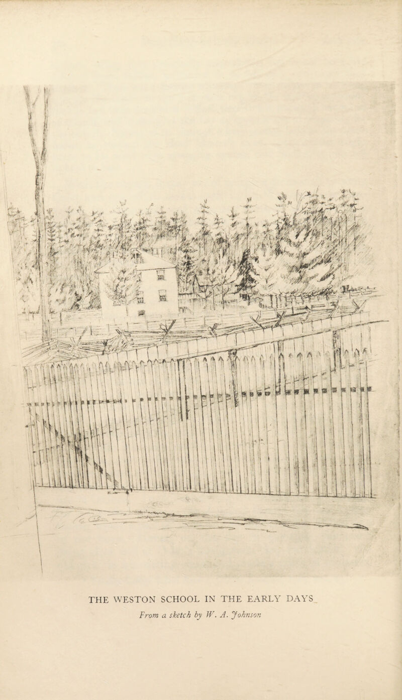 From a sketch by W. A. 'Johnson