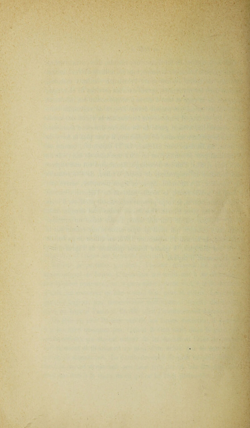 V • •' ■ ■ '^;^^^: r-'l' .;-:.V '■' ^'' ■,; ■■•îïî';,,^'^ ir*'-.:'^‘ 'h \' •-*:■ ., •■' «...v'’C.-C-»! ‘ v''- ;'•• 1. , *■ i / V'i V V' i.-3^'^'>.,1'■»;:• Y 'r-;'., ;■ ,.;T' ■'- ■^V:. : ■,■■ i'„; .''-■ ' .'■ .;-’-v; :;v','^ ■• f. S . i . 4r . >* :t‘ -.T.;. • Y- ■ .-’ ■■< /' .' v^' 'Y,' ’ ' v t- ' ÏY :'^ • - » v:- - Y . ■> *1 ■' ■ . ■ .W: r.-- .^ — ..• .• • • ,: V. 'Yv-Y'' Yrr^v»,;; ‘V- V ' ^.‘ '‘C^- ^^■•■'Ç>'' ''Y ' vr --, - ■ Y' H*' ■ rri '. ,- . .1 ■ ', j . 'l: i. ■ i- '. •' : • ■Y-ï.'ij», - .r '^'':■'.îl■^:|l'^ ¥ ■Y.,:..’'’' ''■ ^ ■'■' ■■•'■ ''-.iu IM: Y ; YY-‘ ■ ^ ■'‘' Y<.Y, CS'4^' , .Ÿ- i,*. -V ;■■ Y/. *\ • i - ; > Y •’ -•/ ' X^.. M. > ^ . I V ' ^ Ci.. '(':' 4‘ y- :(i ' : \é '. ' '. , 4/» ->  1^! ■, y» ' ^>„':v /■ ■ YY ^:'' ■ •■- h -V'.''. • , . '■\ ■*■; •S-'V' Y'';'-*~'Y:C/: Y ■ M / ,',- ■' *..î'' tî'’^’ Y. v/l* rv* ^t.''. *'■ '.^ V ) >■ ' .• ^ , r •*.v> »'»♦. . ' w' 1 --vV.; '\ U , I ■ '. >'.f •y Tk » -Y-'-t? 1 . . -'v, •■ ,,i,v . '7 I . J . '■• . -.‘A ■vy-.YV- ^^■5SV Y-:,' f>* • Y ■' ■ • -i Vil >, . fc,î.-*. .. ./.■•■ ' ' • Y1»' ** ^ -♦• n * ■ ‘M‘. ,'.: w V ‘‘V* ■ •// . Y V ■ :A . . . o’v t Jt' ■ r-. ?î,: x,5:-v-vt7.,; YY-- ■-<7 .'YNn. . f- ■ I • .-• ..>'-':v--’^-.':Y ^ •■•'■» X* * t' ' yK'ÀÉA^ .,■.; yY YY;^ -m ' Y‘‘ -’vi .^ŸV./'Y v., ' r'.'»'ti ' - ■\- . 'Y'’- \\:. , f,. , ,’: , '•■' . *:■'■ Y/Y'i . '-f ■'•■ -4 ' 'Y y x-'î « i'.» * ' :-iiu-t >1 * i^p 1 t .i.^ i : ■/. WTT -J „ .. .... . . V>3'^ *;■» K (■; '^'V^SV, .. ■ V .‘^,■Y• ^ ■-, ' ■',• ' ' i'./ ;'*^. Y t-ifP’• ' Y \ , •.ÿ ’ V , Y,Y'- ' - ». ■ VY'v ' ' '’i » ' Y- ÿ.: ,:*,/.• :-Y-.. -' •» : S- ■' *■ • ^ Y»». 0.. • •' •‘■.'Y.-' '•;■'■ Ÿ- MŸ.teâS •• V* ' *, • «: «^ - f <àf^i Sj^gi# iÏY P
