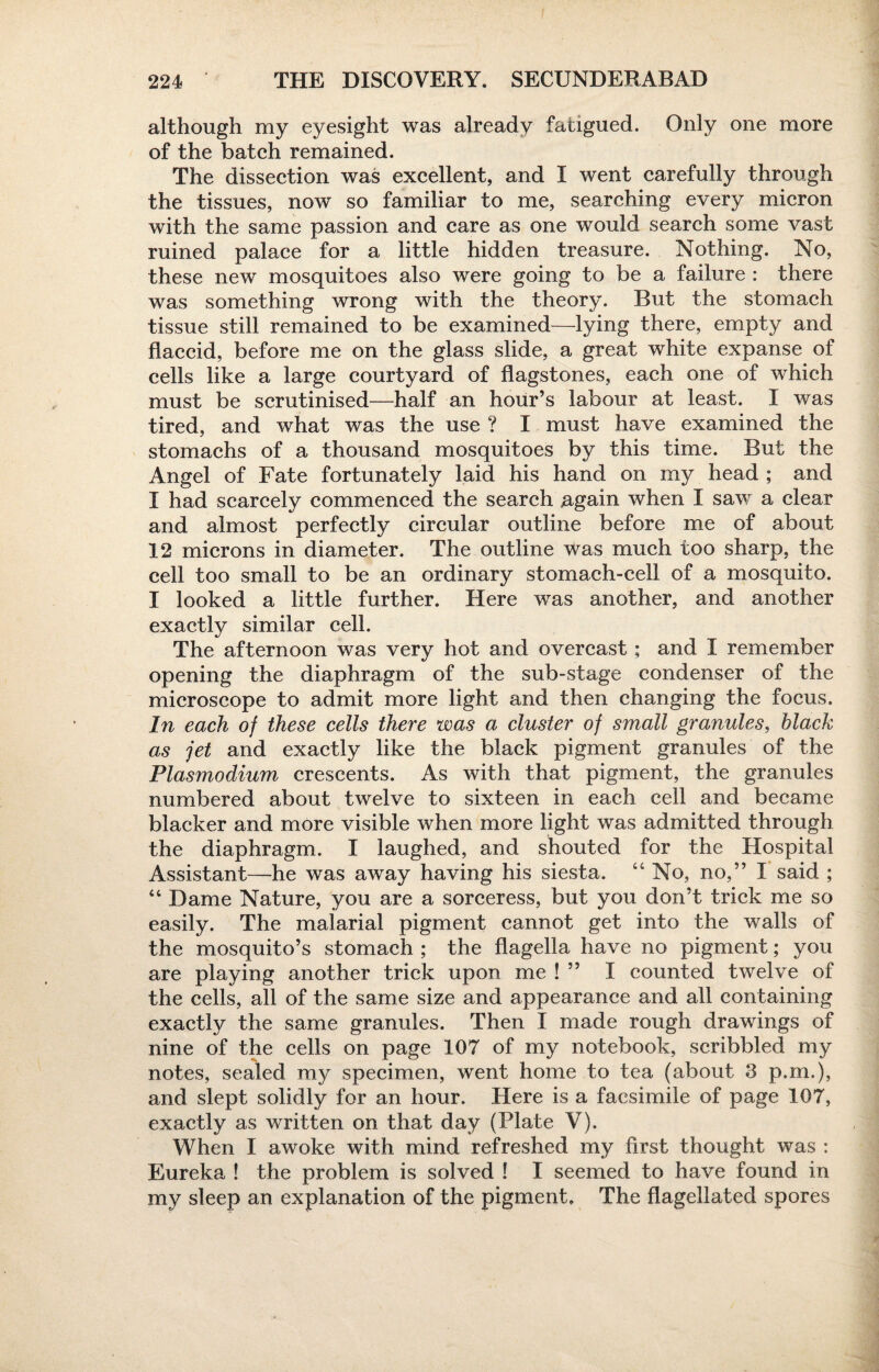 although my eyesight was already fatigued. Only one more of the batch remained. The dissection was excellent, and I went carefully through the tissues, now so familiar to me, searching every micron with the same passion and care as one would search some vast ruined palace for a little hidden treasure. Nothing. No, these new mosquitoes also were going to be a failure : there was something wrong with the theory. But the stomach tissue still remained to be examined—lying there, empty and flaccid, before me on the glass slide, a great white expanse of cells like a large courtyard of flagstones, each one of which must be scrutinised—half an hour’s labour at least. I was tired, and what was the use ? I must have examined the stomachs of a thousand mosquitoes by this time. But the Angel of Fate fortunately laid his hand on my head ; and I had scarcely commenced the search again when I saw a clear and almost perfectly circular outline before me of about 12 microns in diameter. The outline was much too sharp, the cell too small to be an ordinary stomach-cell of a mosquito. I looked a little further. Here was another, and another exactly similar cell. The afternoon was very hot and overcast; and I remember opening the diaphragm of the sub-stage condenser of the microscope to admit more light and then changing the focus. In each of these cells there was a cluster of small granules, black as jet and exactly like the black pigment granules of the Plasmodium crescents. As with that pigment, the granules numbered about twelve to sixteen in each cell and became blacker and more visible when more light was admitted through the diaphragm. I laughed, and shouted for the Hospital Assistant—he was away having his siesta. “ No, no,” I said ; “ Dame Nature, you are a sorceress, but you don’t trick me so easily. The malarial pigment cannot get into the walls of the mosquito’s stomach ; the flagella have no pigment; you are playing another trick upon me ! ” I counted twelve of the cells, all of the same size and appearance and all containing exactly the same granules. Then I made rough drawings of nine of the cells on page 107 of my notebook, scribbled my notes, sealed my specimen, went home to tea (about 3 p.m.), and slept solidly for an hour. Here is a facsimile of page 107, exactly as written on that day (Plate V). When I awoke with mind refreshed my first thought was : Eureka ! the problem is solved ! I seemed to have found in my sleep an explanation of the pigment. The flagellated spores
