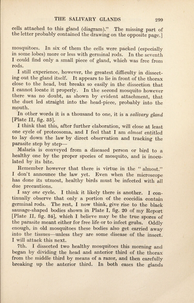 THE SALIVARY GLANDS cells attached to this gland (diagram).” The missing part of the letter probably contained the drawing on the opposite page.] mosquitoes. In six of them the cells were packed (especially in some lobes) more or less with germinal rods. In the seventh I could find only a small piece of gland, which was free from rods. I still experience, however, the greatest difficulty in dissect¬ ing out the gland itself. It appears to lie in front of the thorax close to the head, but breaks so easily in the dissection that I cannot locate it properly. In the second mosquito however there was no doubt, as shown by evident attachment, that the duct led straight into the head-piece, probably into the mouth. In other words it is a thousand to one, it is a salivary gland [Plate II, fig. 35]. I think that this, after further elaboration, will close at least one cycle of proteosoma, and I feel that I am almost entitled to lay down the law by direct observation and tracking the parasite step by step— Malaria is conveyed from a diseased person or bird to a healthy one by the proper species of mosquito, and is inocu¬ lated by its bite. Remember however that there is virtue in the “ almost.” I don’t announce the law yet. Even when the microscope has done its utmost, healthy birds must be infected with all due precautions. I say one cycle. I think it likely there is another. I con¬ tinually observe that only a portion of the coccidia contain germinal rods. The rest, I now think, give rise to the black sausage-shaped bodies shown in Plate I, fig. 20 of my Report [Plate II, fig. 34], which I believe may be the true spores of the parasite meant either for free life or to infect grubs. Oddly enough, in old mosquitoes these bodies also get carried away into the tissues—unless they are some disease of the insect. I will attack this next. 7th. I dissected two healthy mosquitoes this morning and began by dividing the head and anterior third of the thorax from the middle third by means of a razor, and then carefully breaking up the anterior third. In both cases the glands