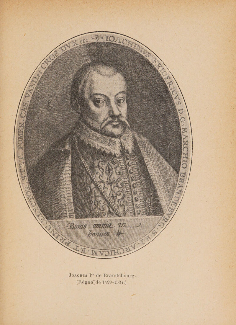 Joachim Ier de Brandebourg. (Régna'de 1499-1534.)