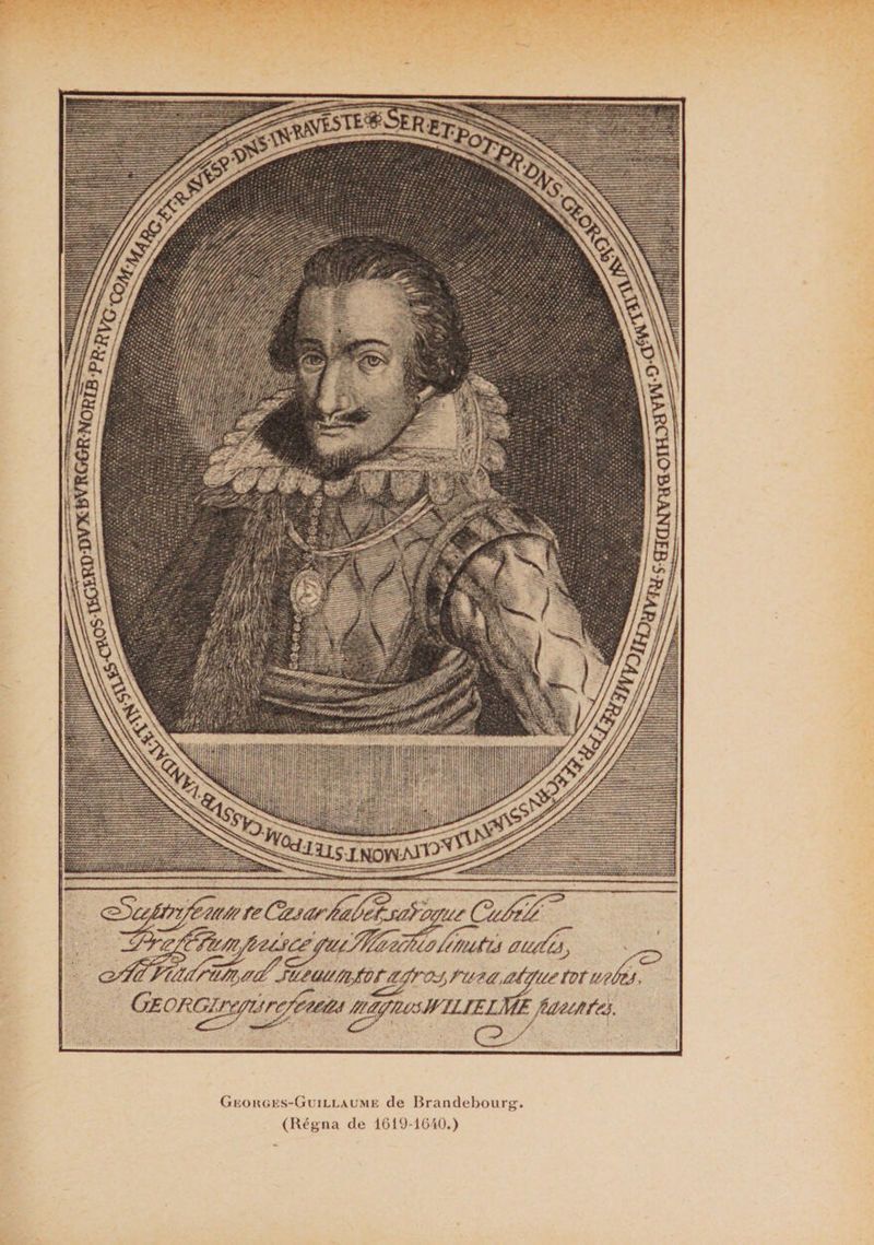 JfiTE sS^ïÜ.INDlAfcM'BÏ tût u?ârj Geokges-Guillaume de Brandebourg. (Régna de 1619-1640.)