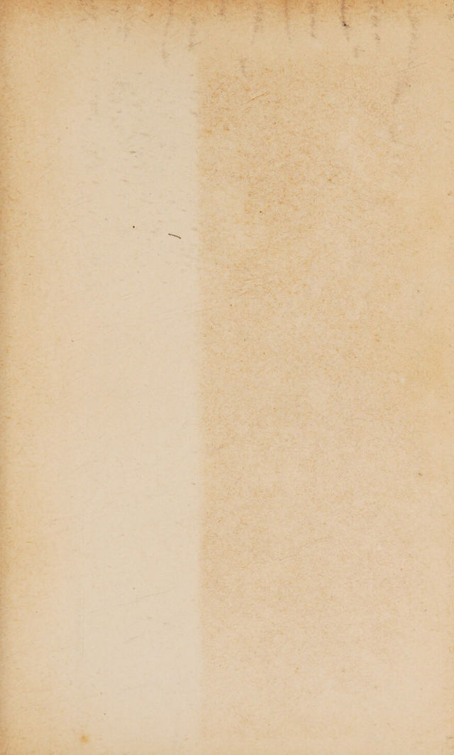 digitised image 3