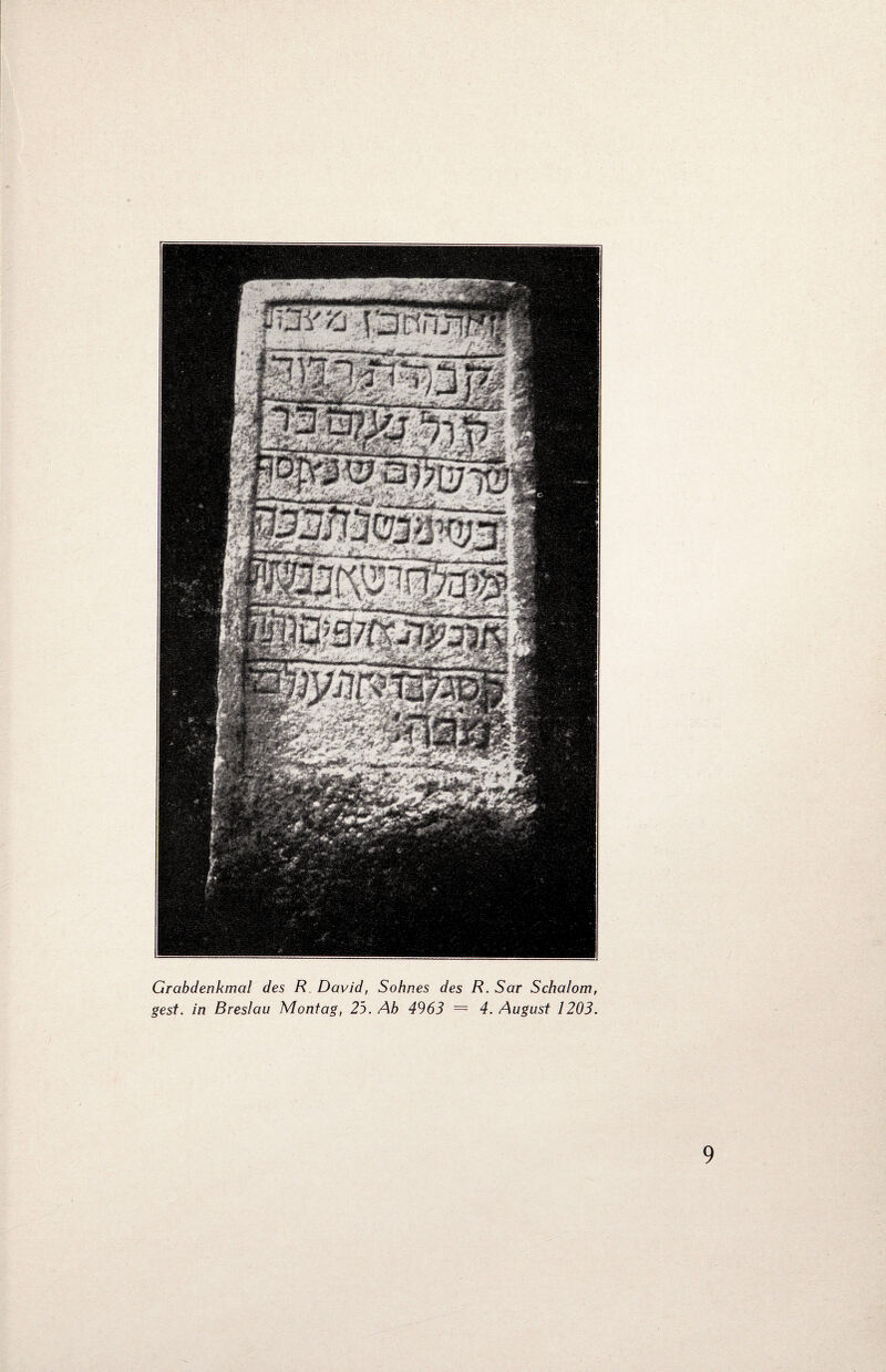 Wwt&r Grabdenkmal des R David, gest. in Breslau Montag, 25. Sohnes des R. Sar Schalom, Ab 4963 = 4. August 1203.