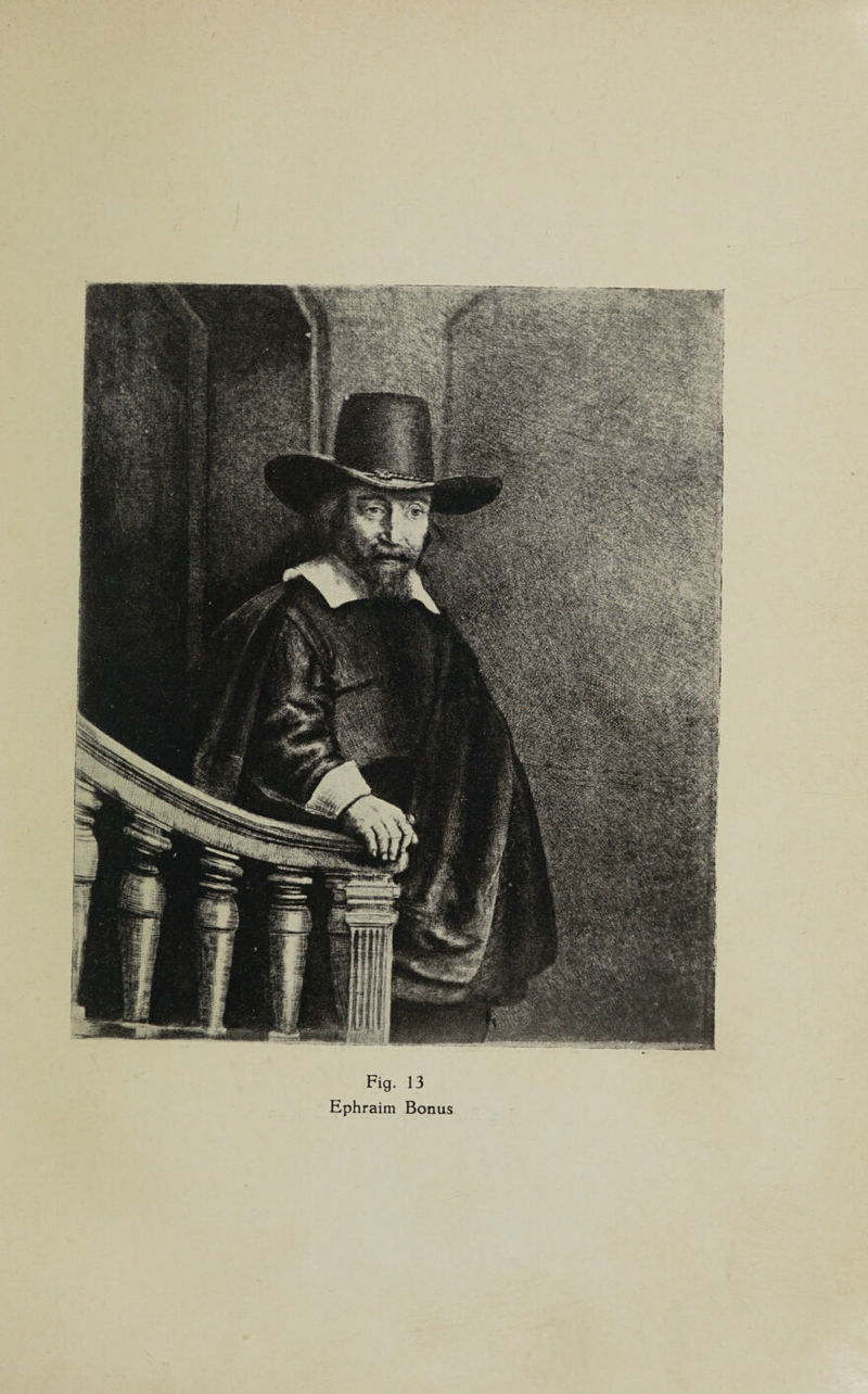 Fig. 13 Ephraim Bonus