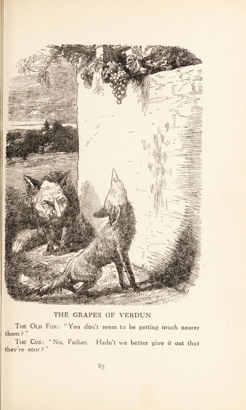 THE GRAPES OF VERDUN The Old Fox: “You don’t seem to be getting much nearer them ? ” 1 HE Cub: “No, Father, Hadn’t we better give it out that they’re sour ? ’’