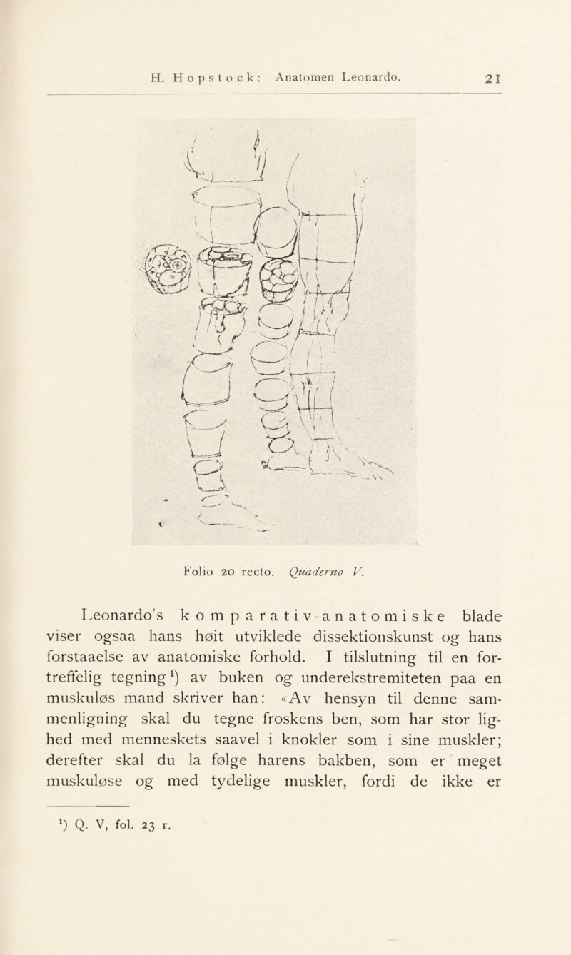 Folio 20 recto. Quaderno V. Leonardo’s kom parativ-anatomiske blade viser ogsaa hans høit utviklede dissektionskunst og hans forstaaelse av anatomiske forhold. I tilslutning til en for¬ treffelig tegningl) av buken og underekstremiteten paa en muskuløs mand skriver han: «Av hensyn til denne sam¬ menligning skal du tegne froskens ben, som har stor lig- hed med menneskets saavel i knokler som i sine muskler; derefter skal du la følge harens bakben, som er meget muskuløse og med tydelige muskler, fordi de ikke er