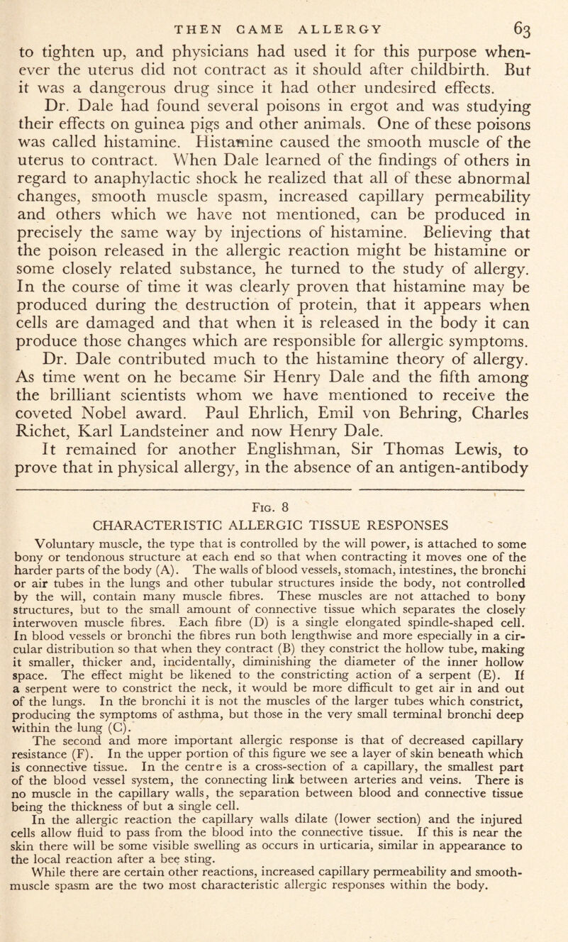 to tighten up, and physicians had used it for this purpose when¬ ever the uterus did not contract as it should after childbirth. But it was a dangerous drug since it had other undesired effects. Dr. Dale had found several poisons in ergot and was studying their effects on guinea pigs and other animals. One of these poisons was called histamine. Histamine caused the smooth muscle of the uterus to contract. When Dale learned of the findings of others in regard to anaphylactic shock he realized that all of these abnormal changes, smooth muscle spasm, increased capillary permeability and others which we have not mentioned, can be produced in precisely the same way by injections of histamine. Believing that the poison released in the allergic reaction might be histamine or some closely related substance, he turned to the study of allergy. In the course of time it was clearly proven that histamine may be produced during the destruction of protein, that it appears when cells are damaged and that when it is released in the body it can produce those changes which are responsible for allergic symptoms. Dr. Dale contributed much to the histamine theory of allergy. As time went on he became Sir Henry Dale and the fifth among the brilliant scientists whom we have mentioned to receive the coveted Nobel award. Paul Ehrlich, Emil von Behring, Charles Richet, Karl Landsteiner and now Henry Dale. It remained for another Englishman, Sir Thomas Lewis, to prove that in physical allergy, in the absence of an antigen-antibody Fig. 8 CHARACTERISTIC ALLERGIC TISSUE RESPONSES Voluntary muscle, the type that is controlled by the will power, is attached to some bony or tendonous structure at each end so that when contracting it moves one of the harder parts of the body (A). The walls of blood vessels, stomach, intestines, the bronchi or air tubes in the lungs and other tubular structures inside the body, not controlled by the will, contain many muscle fibres. These muscles are not attached to bony structures, but to the small amount of connective tissue which separates the closely interwoven muscle fibres. Each fibre (D) is a single elongated spindle-shaped cell. In blood vessels or bronchi the fibres run both lengthwise and more especially in a cir¬ cular distribution so that when they contract (B) they constrict the hollow tube, making it smaller, thicker and, incidentally, diminishing the diameter of the inner hollow space. The effect might be likened to the constricting action of a serpent (E). If a serpent were to constrict the neck, it would be more difficult to get air in and out of the lungs. In the bronchi it is not the muscles of the larger tubes which constrict, producing the symptoms of asthma, but those in the very small terminal bronchi deep within the lung (C). The second and more important allergic response is that of decreased capillary resistance (F). In the upper portion of this figure we see a layer of skin beneath which is connective tissue. In the centre is a cross-section of a capillary, the smallest part of the blood vessel system, the connecting link between arteries and veins. There is no muscle in the capillary walls, the separation between blood and connective tissue being the thickness of but a single cell. In the allergic reaction the capillary walls dilate (lower section) and the injured cells allow fluid to pass from the blood into the connective tissue. If this is near the skin there will be some visible swelling as occurs in urticaria, similar in appearance to the local reaction after a bee sting. While there are certain other reactions, increased capillary permeability and smooth- muscle spasm are the two most characteristic allergic responses within the body.