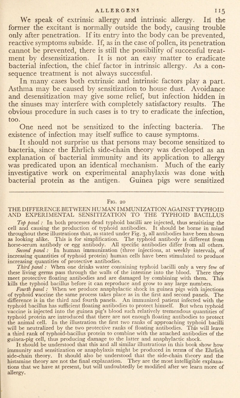“5 We speak of extrinsic allergy and intrinsic allergy. In the former the excitant is normally outside the body, causing trouble only after penetration. If its entry into the body can be prevented, reactive symptoms subside. If, as in the case of pollen, its penetration cannot be prevented, there is still the possibility of successful treat¬ ment by desensitization. It is not an easy matter to eradicate bacterial infection, the chief factor in intrinsic allergy. As a con¬ sequence treatment is not always successful. In many cases both extrinsic and intrinsic factors play a part. Asthma may be caused by sensitization to house dust. Avoidance and desensitization may give some relief, but infection hidden in the sinuses may interfere with completely satisfactory results. The obvious procedure in such cases is to try to eradicate the infection, too. One need not be sensitized to the infecting bacteria. The existence of infection may itself suffice to cause symptoms. It should not surprise us that persons may become sensitized to bacteria, since the Ehrlich side-chain theory was developed as an explanation of bacterial immunity and its application to allergy was predicated upon an identical mechanism. Much of the early investigative work on experimental anaphylaxis was done with bacterial protein as the antigen. Guinea pigs were sensitized Fig. 20 THE DIFFERENCE BETWEEN HUMAN IMMUNIZATION AGAINST TYPHOID AND EXPERIMENTAL SENSITIZATION TO THE TYPHOID BACILLUS Top panel : In both processes dead typhoid bacilli are injected, thus sensitizing the cell and causing the production of typhoid antibodies. It should be borne in mind throughout these illustrations that, as stated under Fig. 3, all antibodies have been shown as looking alike. This is for simplification. The typhoid antibody is different from horse-serum antibody or egg antibody. All specific antibodies differ from all others. Second panel : In human immunization (three injections, at weekly intervals, of increasing quantities of typhoid protein) human cells have been stimulated to produce increasing quantities of protective antibodies. Third panel : When one drinks water containing typhoid bacilli only a very few of these living germs pass through the walls of the intestine into the blood. There they meet protective floating antibodies and are damaged by combining with them. This kills the typhoid bacillus before it can reproduce and grow to any large numbers. Fourth panel : When we produce anaphylactic shock in guinea pigs with injections of typhoid vaccine the same process takes place as in the first and second panels. The difference is in the third and fourth panels. An immunized patient infected with the typhoid bacillus has sufficient floating antibodies to protect himself. But when typhoid vaccine is injected into the guinea pig’s blood such relatively tremendous quantities of typhoid protein are introduced that there are not enough floating antibodies to protect the animal cell. In the illustration the first two ranks of approaching typhoid bacilli will be neutralized by the two protective ranks of floating antibodies. This will leave a third rank of typhoid-bacillus protein to combine with the attached antibodies of the guinea-pig cell, thus producing damage to the latter and anaphylactic shock. It should be understood that this and all similar illustrations in this book show how immunity and sensitization or anaphylaxis might be produced in terms of the Ehrlich side-chain theory. It should also be understood that the side-chain theory and the histamine theory are not the final explanation. They are the most intelligible explana¬ tions that we have at present, but will undoubtedly be modified after we learn more of allergy.