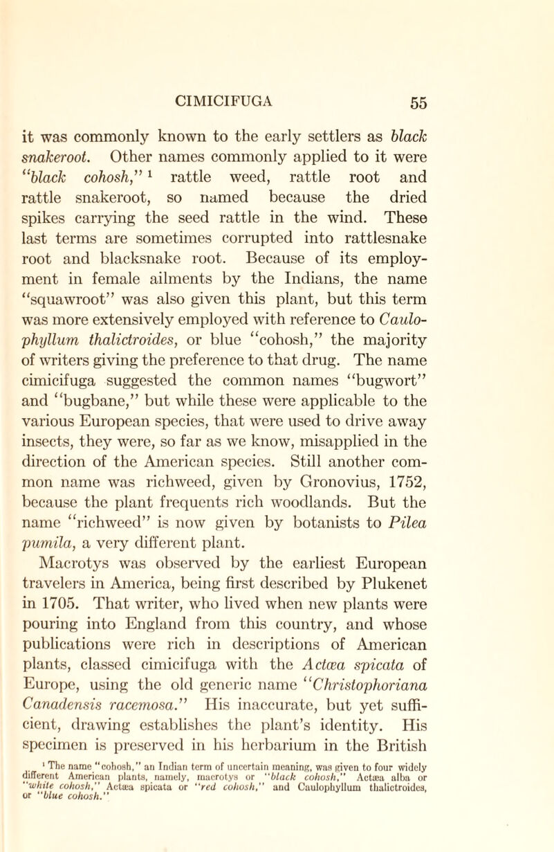 it was commonly known to the early settlers as black snakeroot. Other names commonly applied to it were “black cohosh,”1 rattle weed, rattle root and rattle snakeroot, so named because the dried spikes carrying the seed rattle in the wind. These last terms are sometimes corrupted into rattlesnake root and blacksnake root. Because of its employ¬ ment in female ailments by the Indians, the name “squawroot” was also given this plant, but this term was more extensively employed with reference to Caulo- phyllum thalictroides, or blue “cohosh,” the majority of writers giving the preference to that drug. The name cimicifuga suggested the common names “bugwort” and “bugbane,” but while these were applicable to the various European species, that were used to drive away insects, they were, so far as we know, misapplied in the direction of the American species. Still another com¬ mon name was richweed, given by Gronovius, 1752, because the plant frequents rich woodlands. But the name “richweed” is now given by botanists to Pilea pumila, a very different plant. Macrotys was observed by the earliest European travelers in America, being first described by Plukenet in 1705. That writer, who lived when new plants were pouring into England from this country, and whose publications were rich in descriptions of American plants, classed cimicifuga with the Actcea spicata of Europe, using the old generic name “Christophoriana Canadensis racemosa.” His inaccurate, but yet suffi¬ cient, drawing establishes the plant’s identity. His specimen is preserved in his herbarium in the British 1 The name “cohosh,” an Indian term of uncertain meaning, was given to four widely different American plants, namely, macrotys or black cohosh, Actrea alba or white cohosh, Actsea spicata or red cohosh, and Caulophyllum thalictroides, or blue cohosh.”