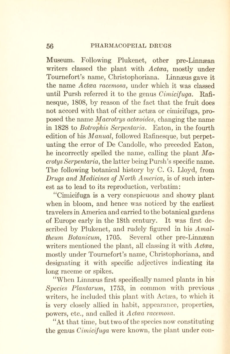 Museum. Following Plukenet, other pre-Linnaean writers classed the plant with Actcea, mostly under Tournefort’s name, Christophoriana. Linnaeus gave it the name Adcea racemosa, under which it was classed until Pursh referred it to the genus Cimicifuga. Rafi- nesque, 1808, by reason of the fact that the fruit does not accord with that of either actaea or cimicifuga, pro¬ posed the name Macrotrys acheoides, changing the name in 1828 to Botrophis Serpentaria. Eaton, in the fourth edition of his Manual, followed Rafinesque, but perpet¬ uating the error of De Candolle, who preceded Eaton, he incorrectly spelled the name, calling the plant Ma- crotys Serpentaria, the latter being Pursh’s specific name. The following botanical history by C. G. Lloyd, from Drugs and Medicines of North America, is of such inter¬ est as to lead to its reproduction, verbatim: “Cimicifuga is a very conspicuous and showy plant when in bloom, and hence was noticed by the earliest travelers in America and carried to the botanical gardens of Europe early in the 18th century. It was first de¬ scribed by Plukenet, and rudely figured in his Amal- theum Botanicum, 1705. Several other pre-Linnaean writers mentioned the plant, all classing it with Actcea, mostly under Tournefort’s name, Christophoriana, and designating it with specific adjectives indicating its long raceme or spikes. “When Linnaeus first specifically named plants in his Species Plantarum, 1753, in common with previous writers, he included this plant with Actaea, to which it is very closely allied in habit, appearance, properties, powers, etc., and called it Actcea racemosa. “At that time, but two of the species now constituting the genus Cimicifuga were known, the plant under con-