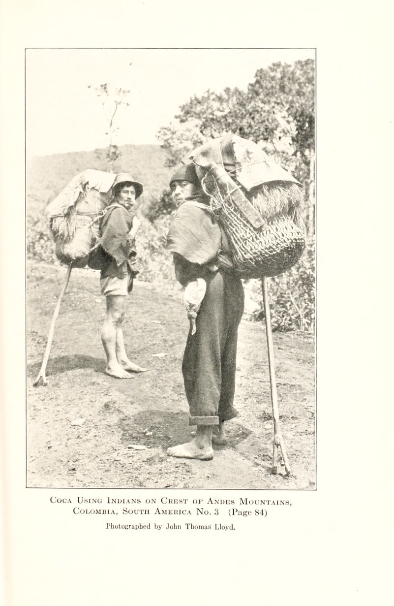 Coca U.sing Indians on Crest of Andes Mountains, Colombia, South America No. 3 (Page 84)