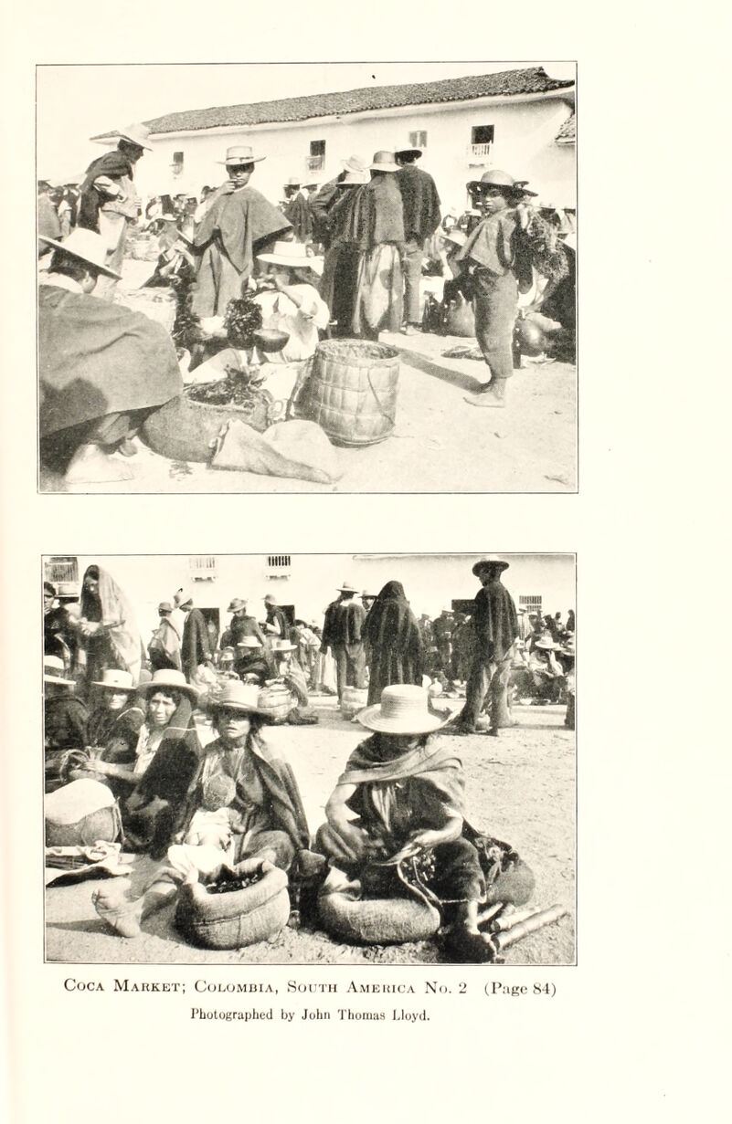 Coca Market; Colombia, South America No. 2 (Page 84) Photographed by John Thomas Lloyd.