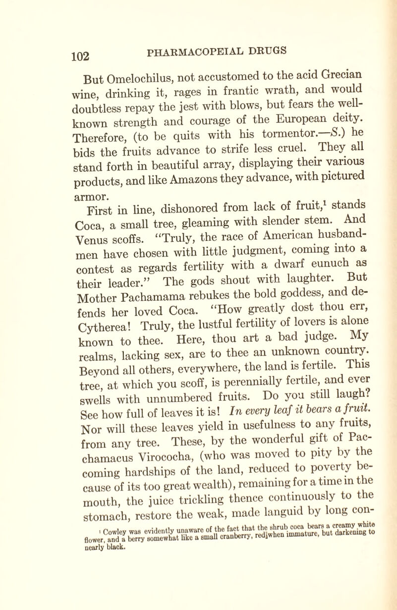 102 But Omelochilus, not accustomed to the acid Grecian wine, drinking it, rages in frantic wrath, and would doubtless repay the jest with blows, but fears the well- known strength and courage of the European deity. Therefore, (to be quits with his tormentor. S.) he bids the fruits advance to strife less cruel. They all stand forth in beautiful array, displaying their various products, and like Amazons they advance, with pictured First in line, dishonored from lack of fruit, stands Coca, a small tree, gleaming with slender stem. And Venus scoffs. “Truly, the race of American husband¬ men have chosen with little judgment, coming into a contest as regards fertility with a dwarf eunuch as their leader.” The gods shout with laughter. But Mother Pachamama rebukes the bold goddess, and de¬ fends her loved Coca. “How greatly dost thou err, Cytherea! Truly, the lustful fertility of lovers is alone known to thee. Here, thou art a bad judge. My realms, lacking sex, are to thee an unknown country. Beyond all others, everywhere, the land is fertile. This tree, at which you scoff, is perennially fertile, and ever swells with unnumbered fruits. Do you still laugh. See how full of leaves it is! In every leaf it bears a fruit. Nor will these leaves yield in usefulness to any fruits, from any tree. These, by the wonderful gift of Pac- chamacus Virococha, (who was moved to pity by the coming hardships of the land, reduced to poverty be¬ cause of its too great wealth), remaining for a time in the mouth, the juice trickling thence continuously to the stomach, restore the weak, made languid by long con- floweSK nearly black.