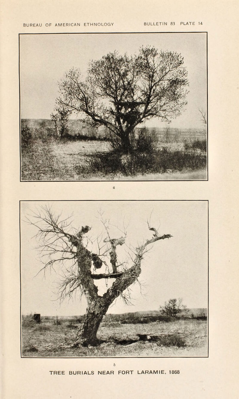 b TREE BURIALS NEAR FORT LARAMIE, 1868