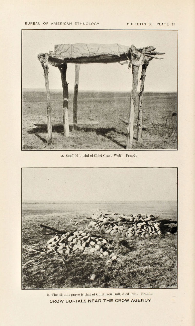 a. Scaffold burial of Chief Crazy Wolf. Prando It, The dislanl grave is that of Chief Iron Bull, died 1884. Prando CROW BURIALS NEAR THE CROW AGENCY