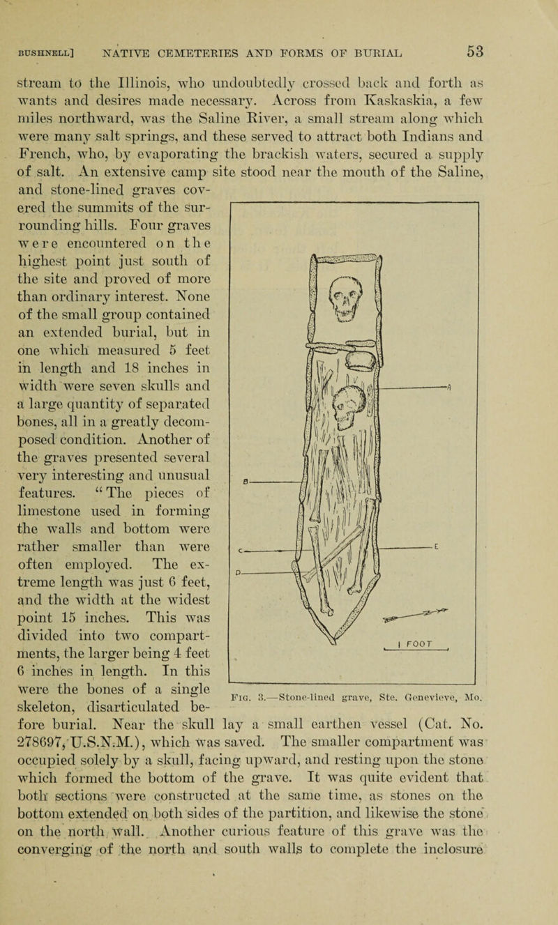stream to the Illinois, who undoubtedly crossed back and forth as j %j wants and desires made necessary. Across from Kaskaskia, a few miles northward, was the Saline River, a small stream along which were many salt springs, and these served to attract both Indians and French, who, by evaporating the brackish waters, secured a supply of salt. An extensive camp site stood near the mouth of the Saline, and stone-lined graves cov¬ ered the summits of the sur¬ rounding hills. Four graves were encountered o n t h e highest point just south of the site and proved of more than ordinary interest. None of the small group contained an extended burial, but in one which measured 5 feet in length and 18 inches in width were seven skulls and a large quantity of separated bones, all in a greatly decom¬ posed condition. Another of the graves presented several very interesting and unusual features. “ The pieces of limestone used in forming the walls and bottom were rather smaller than were often employed. The ex¬ treme length was just 6 feet, and the width at the widest point 15 inches. This was divided into two compart¬ ments, the larger being 4 feet G inches in length. In this were the bones of a single skeleton, disarticulated be¬ fore burial. Near the skull lay a small earthen vessel (Cat. No. 278697, U.S.N.M.), which Was saved. The smaller compartment was occupied solely by a skull, facing upward, and resting upon the stone which formed the bottom of the grave. It was quite evident that both sections were constructed at the same time, as stones on the bottom extended on both sides of the partition, and likewise the stone on the north wall. Another curious feature of this grave was the converging of the north and south walls to complete the inclosure Fig. 3.—Stone-lined grave, Ste. Genevieve, Mo.