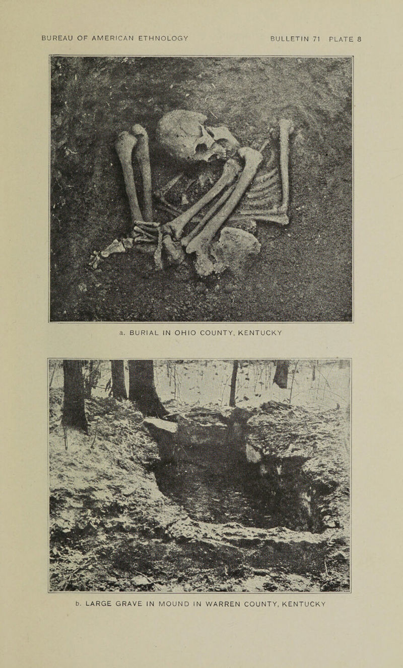 a. BURIAL IN OHIO COUNTY, KENTUCKY b. LARGE GRAVE IN MOUND IN WARREN COUNTY, KENTUCKY