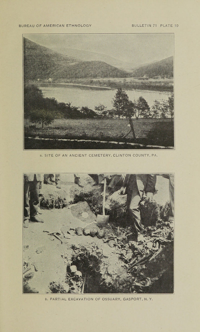 a. SITE OF AN ANCIENT CEMETERY, CLINTON COUNTY, PA. b. PARTIAL EXCAVATION OF OSSUARY, GASPORT, N. Y