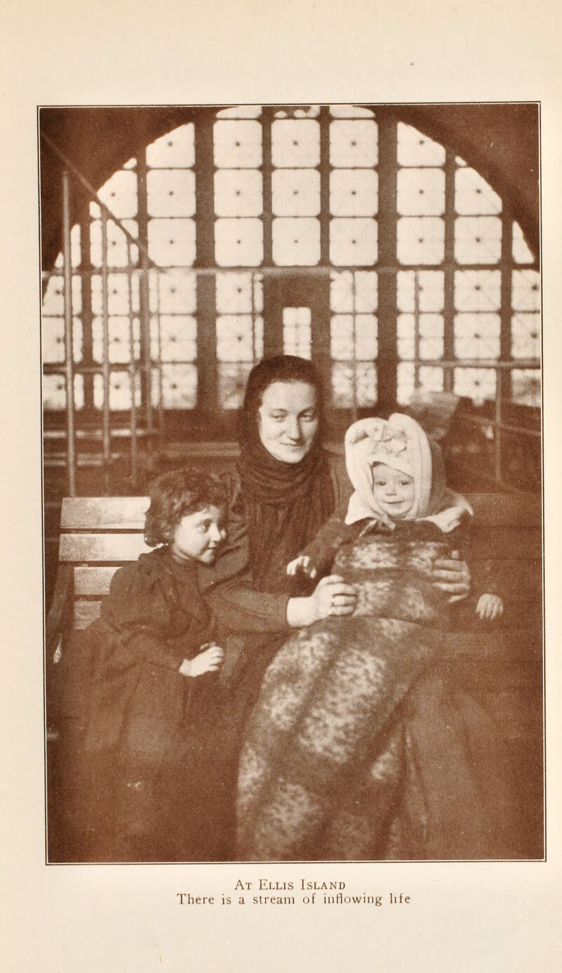 At Ellis Island There is a stream of inflowing life