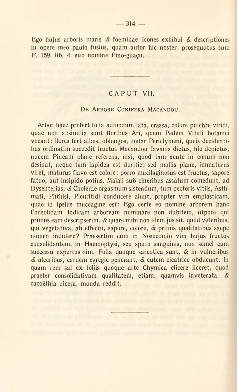 Ego hujus arboris maris & foeminae Icones exhibui & descriptiones in opere meo paulo fusius, quam autor hic noster prosequutus sum F. 159. lib. 4. sub nomine Pino-guafu. CAPUT VII. De Arbore Conifera Macandou. Arbor haec profert folia admodum lata, crassa, colore pulchre viridi, quae non absimilia sunt floribus Ari, quem Pedem Vituli botanici vocant: flores fert albos, oblongos, instar Periclymeni, queis decidenti¬ bus ordinatim succedit fructus Macandou Iavanis dictus, hic depictus, nucem Pineam plane referens, nisi, quod tam acute in conum non desinat, neque tam lapidea est duritie; sed mollis plane, immaturus viret, maturus flavo est colore: porro mucilaginosus est fructus, sapore fatuo, aut insipido potius. Malaii sub cineribus assatum comedunt, ad Dysenterias, <5 Cholerae orgasmum sistendum, tum pectoris vitiis, Asth¬ mati, Phthisi, Pleuritidi conducere aiunt, propter vim emplasticam, quae in ipsius muccagine est: Ego certe eo nomine arborem hanc Consolidam Indicam arboream nominare non dubitem, utpote qui primus eam descripserim. <& quare mihi non idem jus sit, quod veteribus, qui vegetativa, ab effectu, sapore, colore, & primis qualitatibus saepe nomen indidere? Praesertim cum in Nosocomio vim hujus fructus consolidantem, in Haemoptysi, seu sputo sanguinis, non semel cum successu expertus sim. Folia quoque sarcotica sunt, & in vulneribus & ulceribus, carnem egregie generant, & cutem cicatrice obducunt. In quam rem sal ex foliis quoque arte Chymica elicere liceret, quod praeter consolidativam qualitatem, etiam, quamvis inveterata, & cacoethia ulcera, munda reddit.